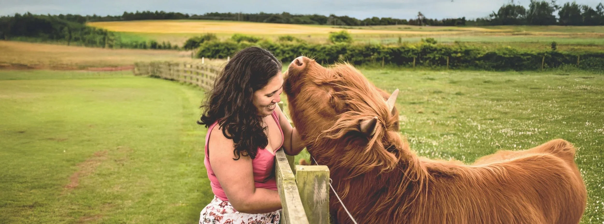 A woman with dark curly hair smiling as she pets a Highland cow on a farm, with green fields and a fence in the background.