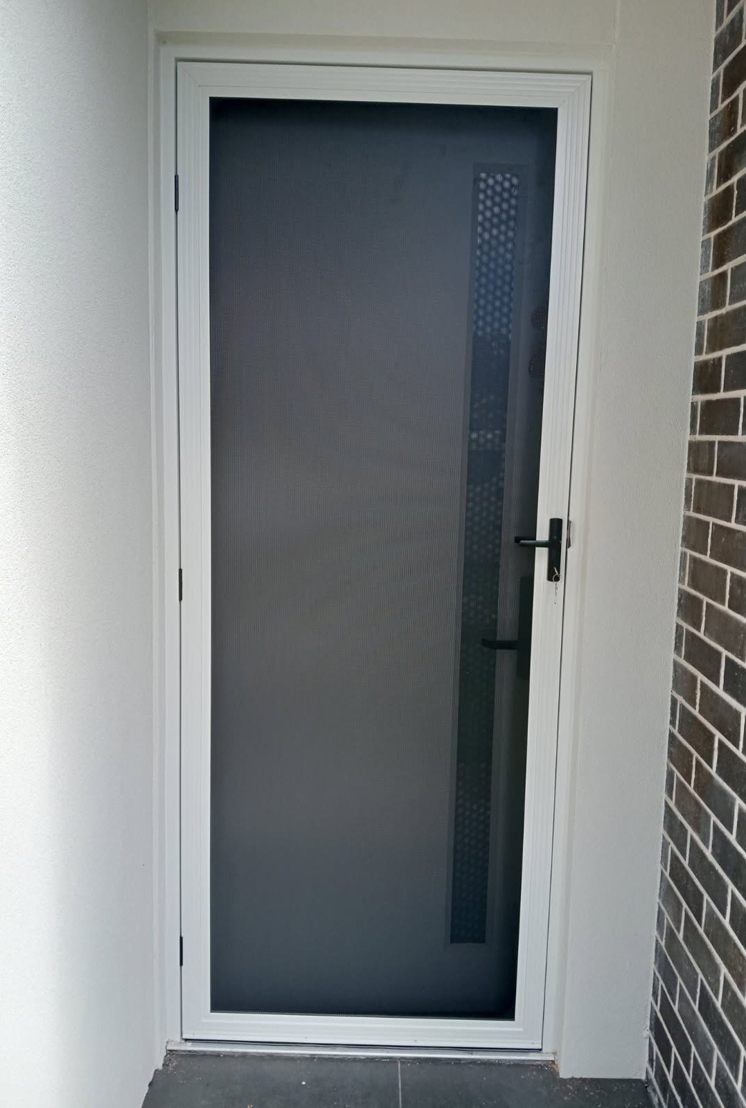 Alu-Gard security door