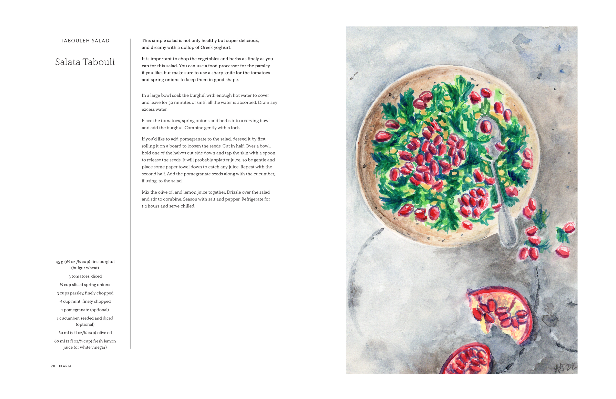 VIVI COOKBOOK ILLUSTRATIONS.png