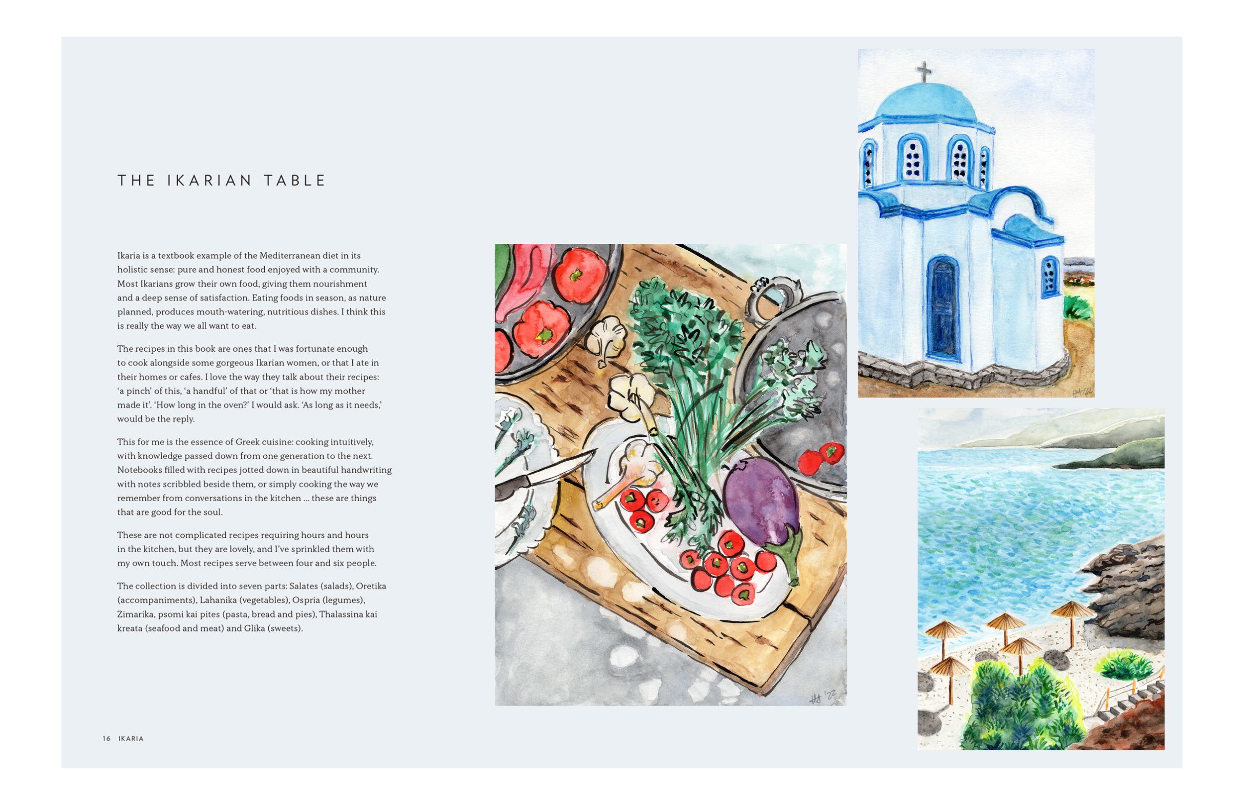 VIVI COOKBOOK ILLUSTRATIONS SPREAD 2.png