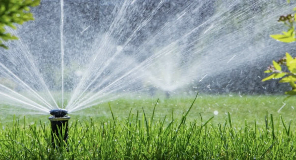 How North County San Diego Homeowners Can Lower Their Water Bill with Smarter Irrigation