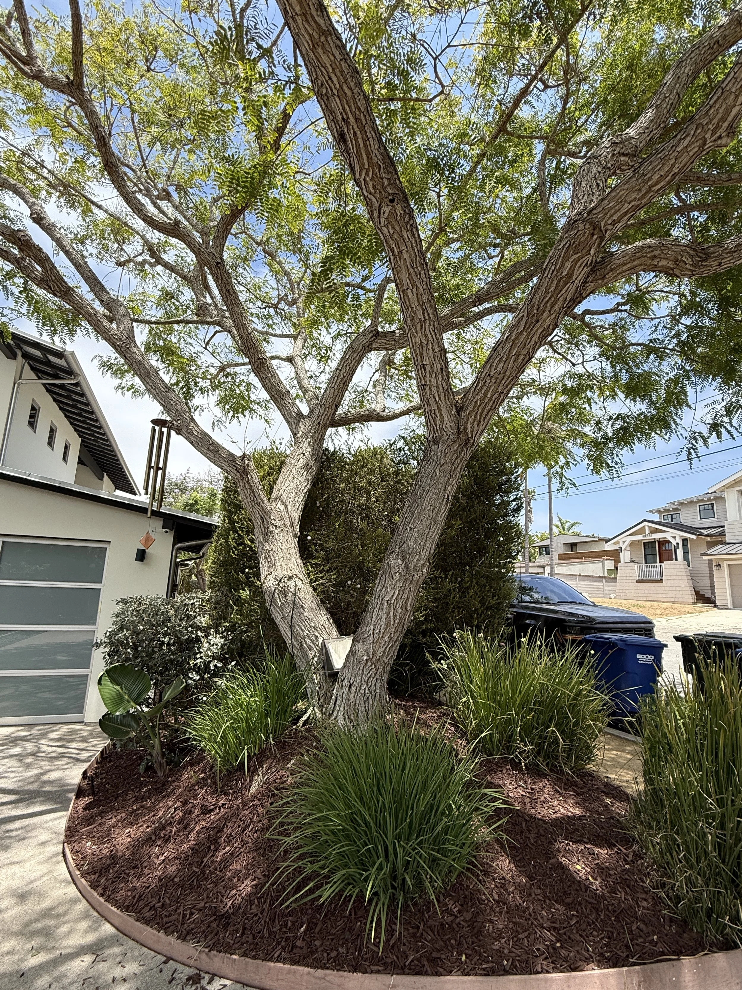 Oceanside Landscaping Guide: Best Plants for Salt Air and Sandy Soil