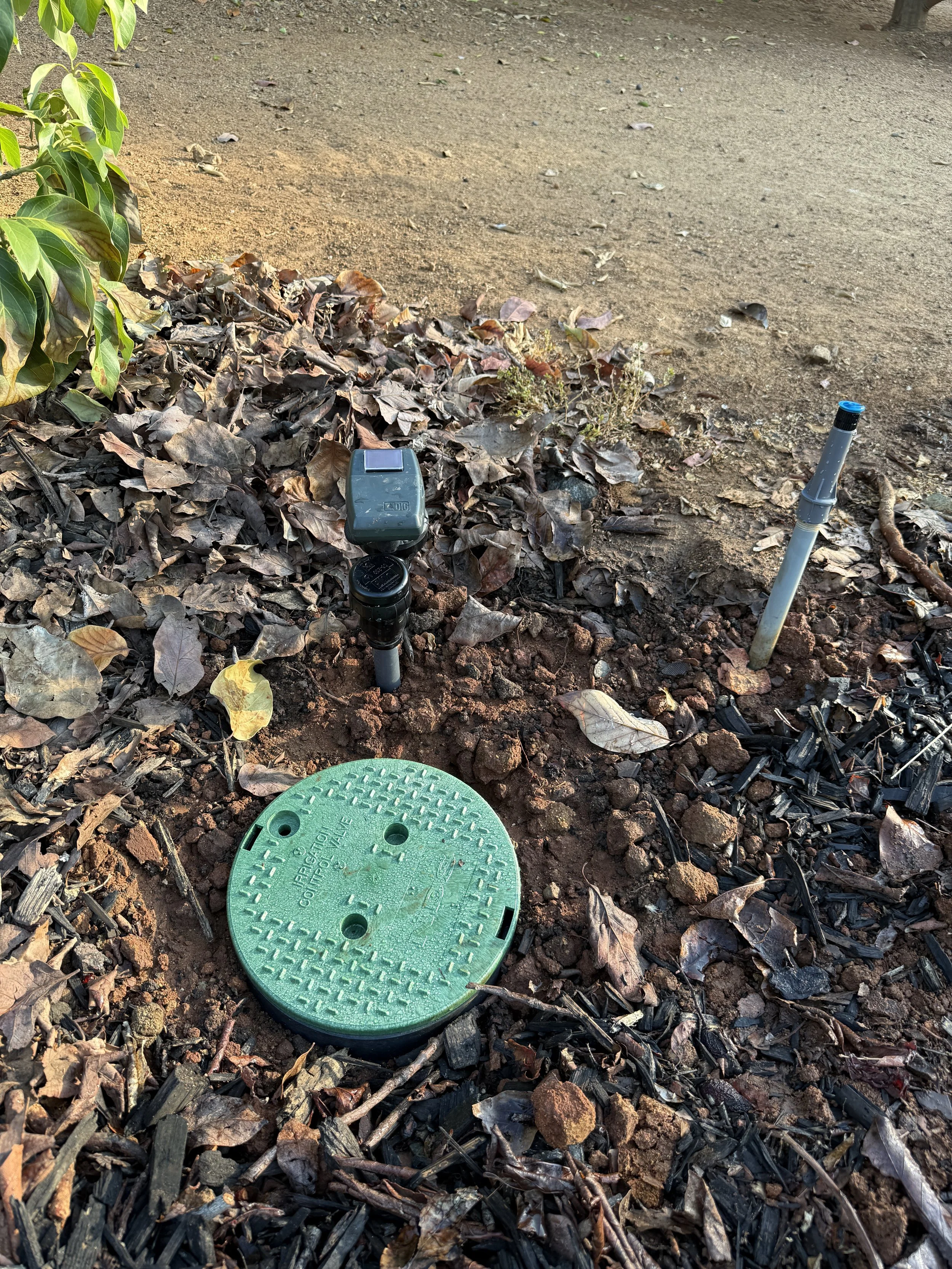 El Niño Storm Damage: Landscape Recovery Tips for North County San Diego