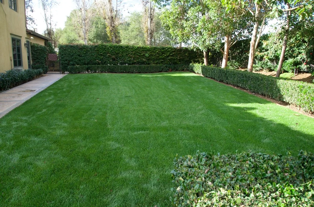 Why Fall Is the Best Time to Install Sod in North County San Diego