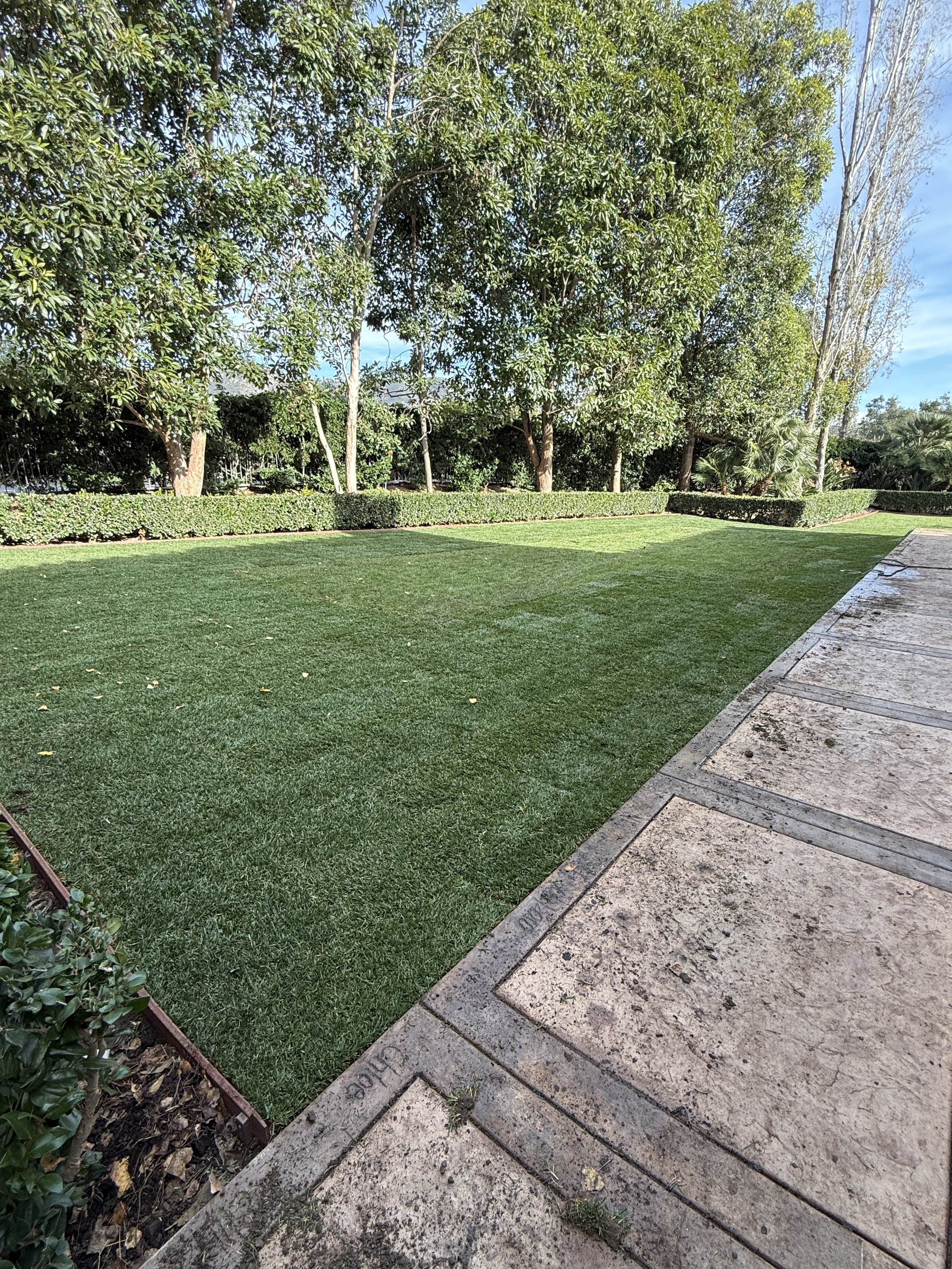 Sod Installation in North County San Diego | Goodman's Landscaping