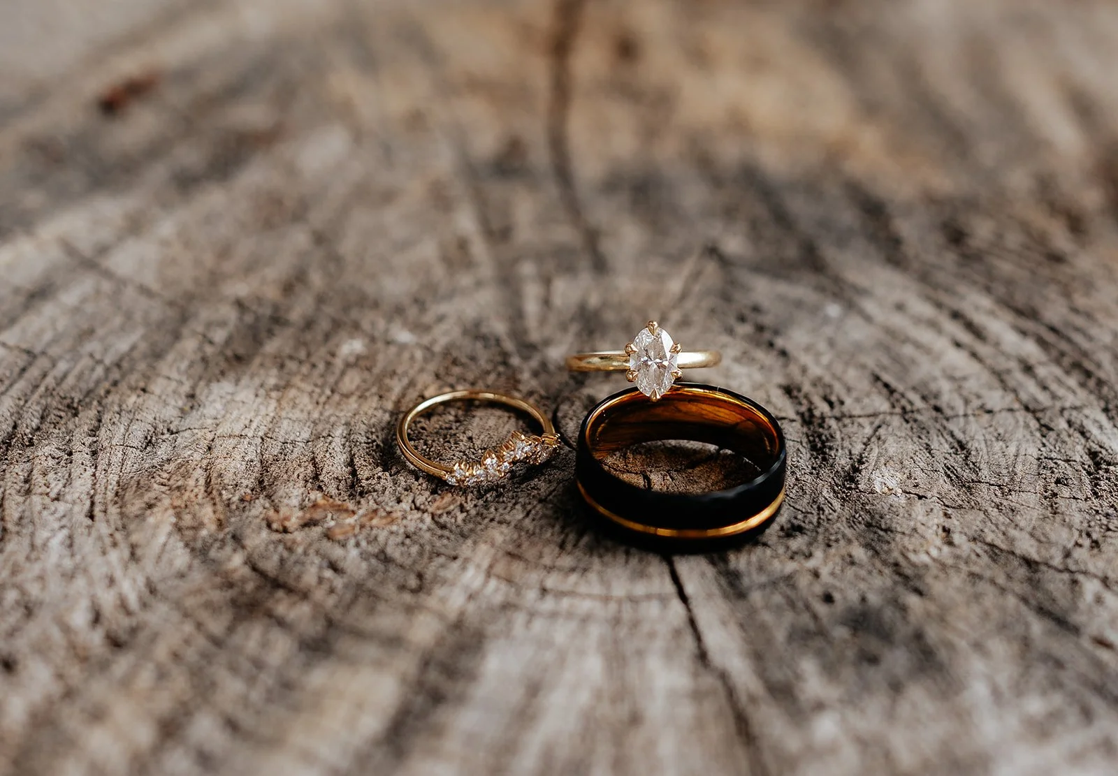Tessaautumnphoto-26.jpg