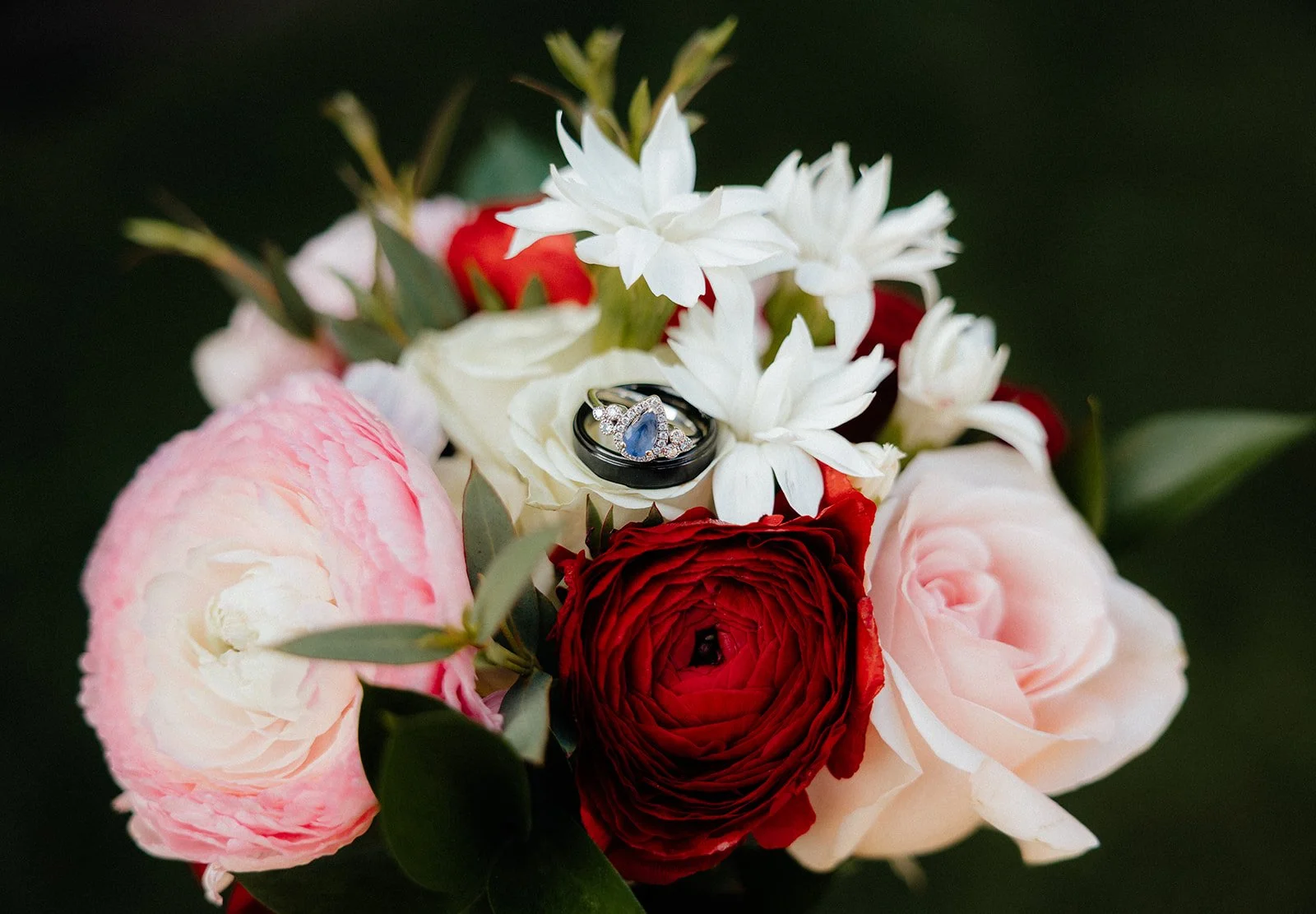 Tessaautumnphoto-134_websize.jpg