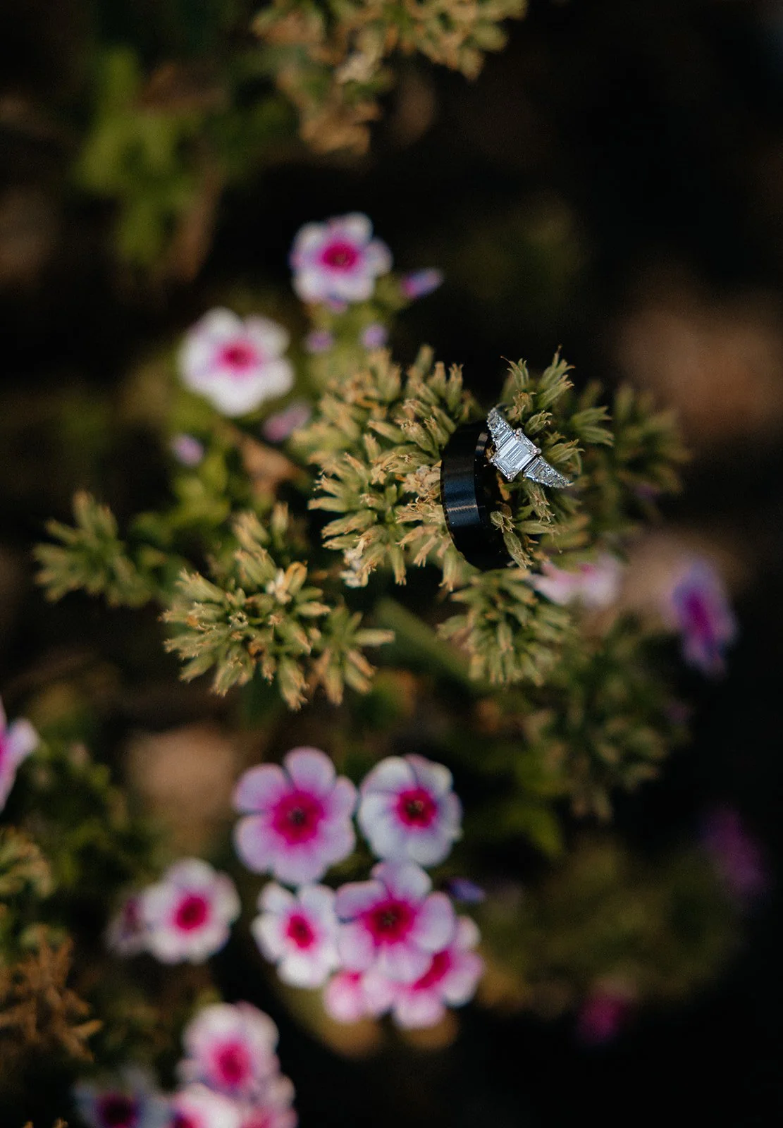 Tessaautumnphoto-211_websize.jpg