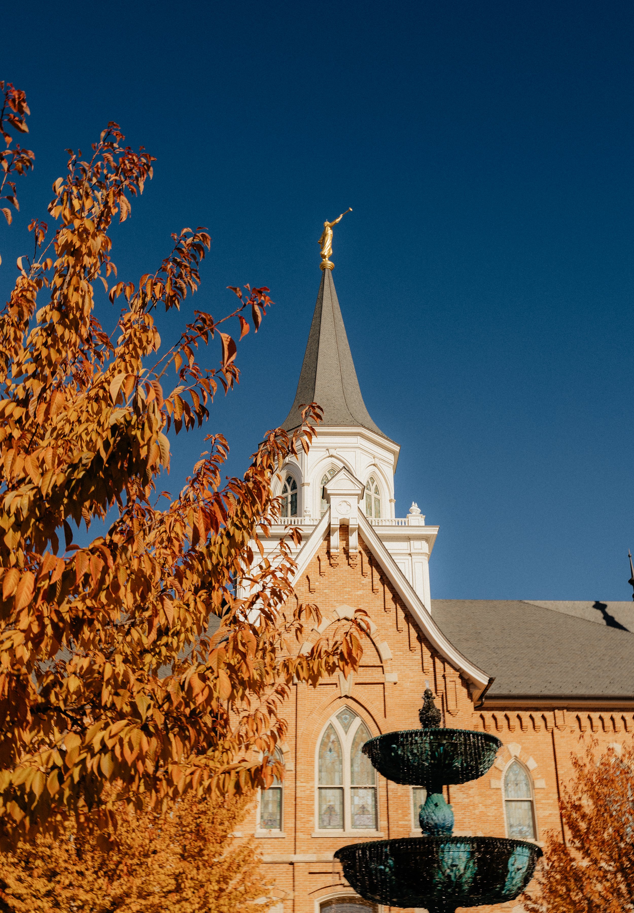 tessaautumn 1 (1).jpg