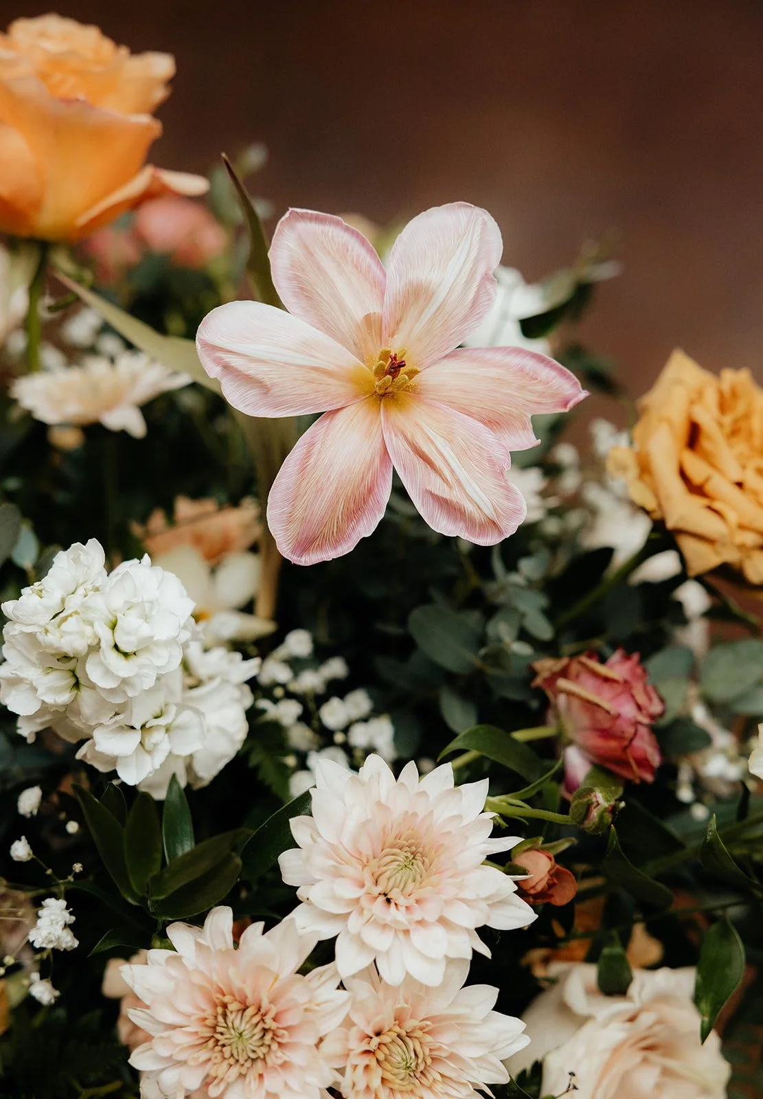 Tessaautumnphoto-256_websize.jpg