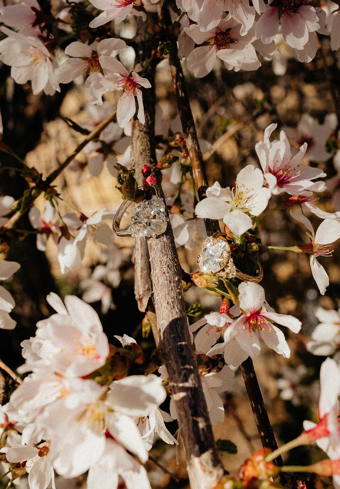 Tessaautumnphoto-259_websize.jpg
