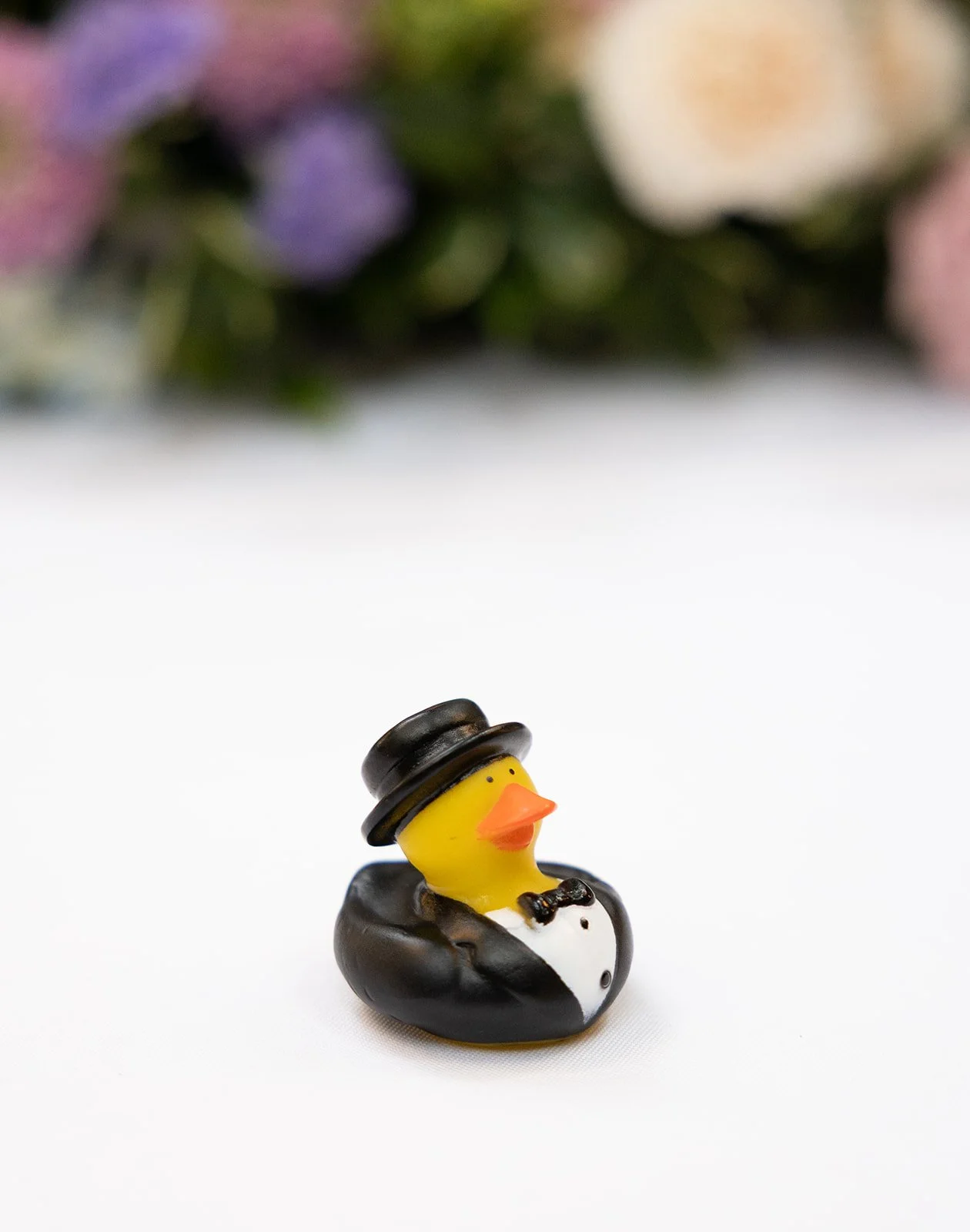 Tessaautumnphoto-84_websize.jpg