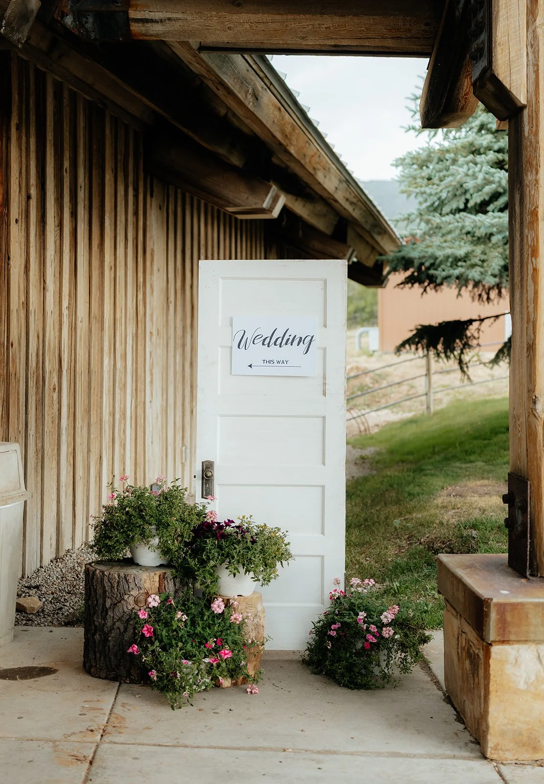 Tessaautumnphoto-61.jpg