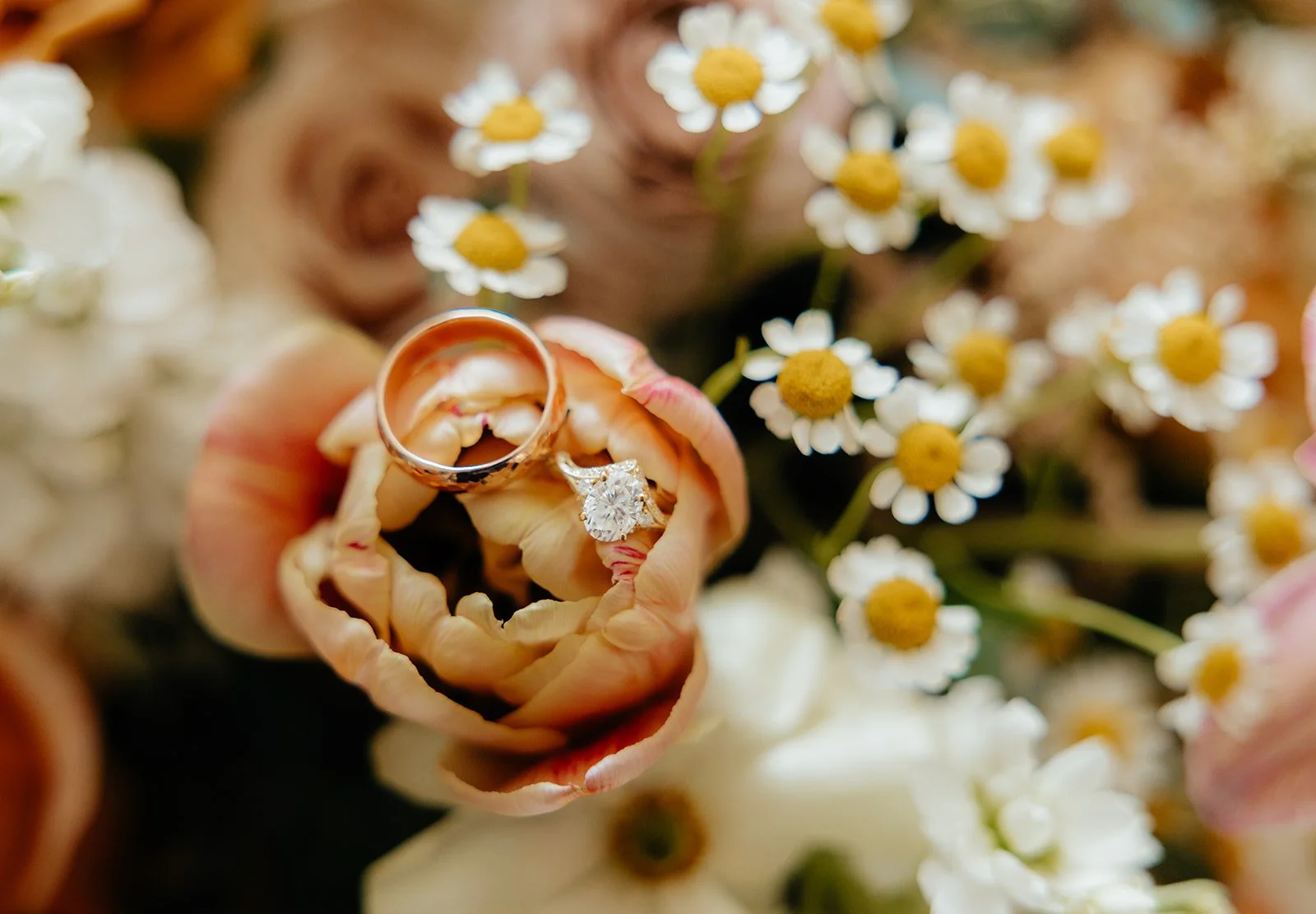 Tessaautumnphoto-9_websize.jpg