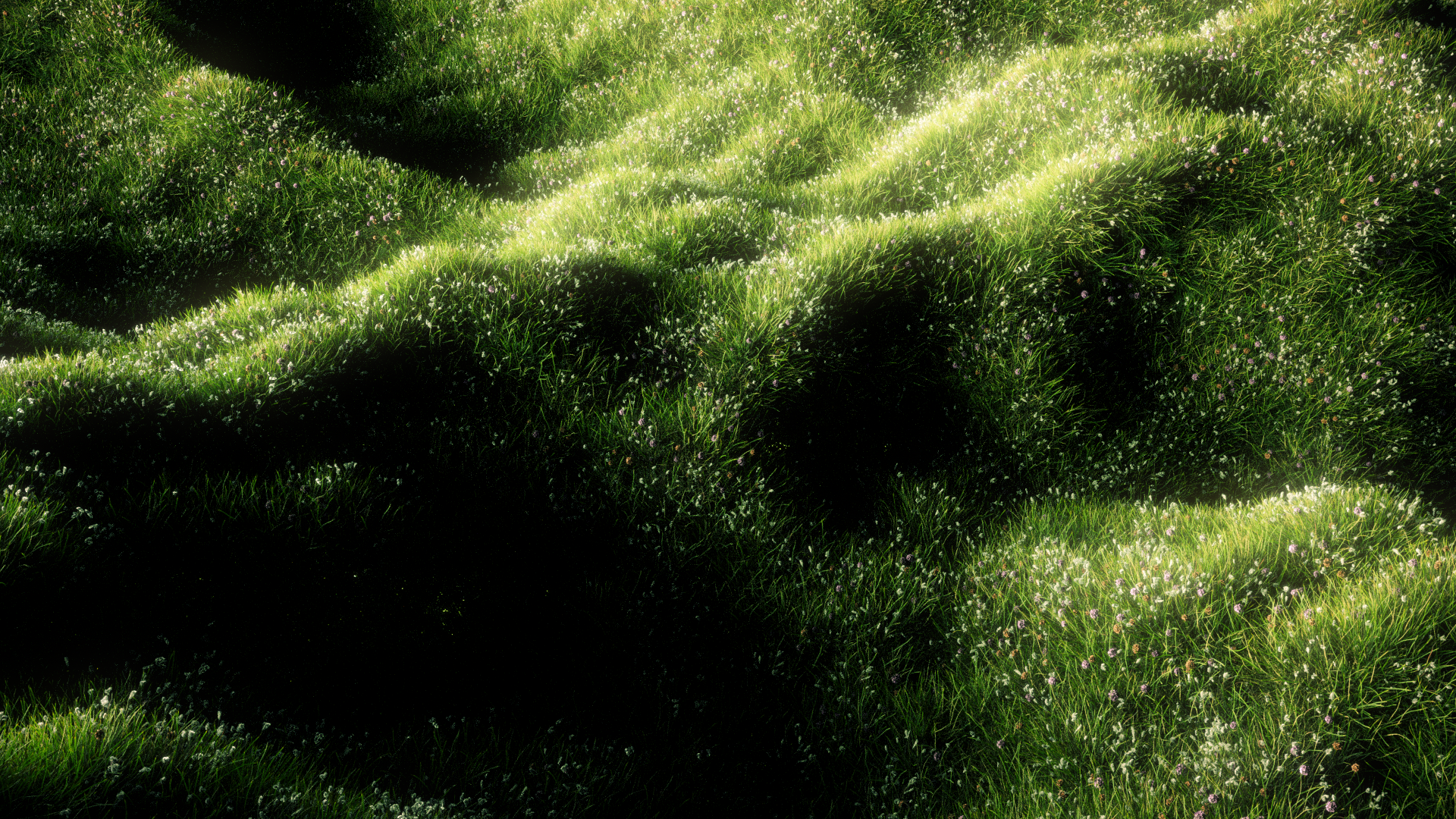 OTT_FluidLands_FlyOver_v01 (00286).png