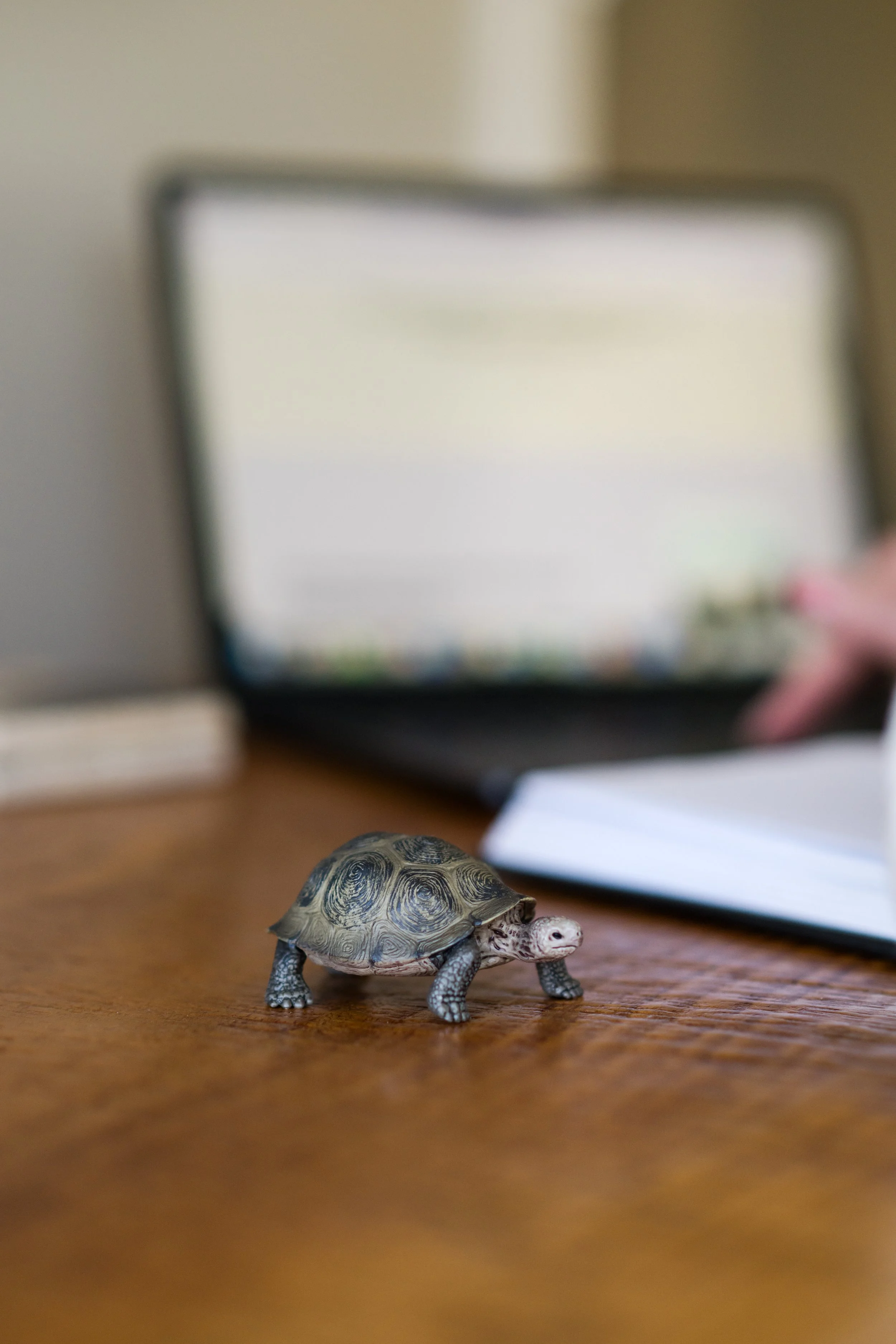 Let It Be a Filter: Hiring Lessons I Keep Learning