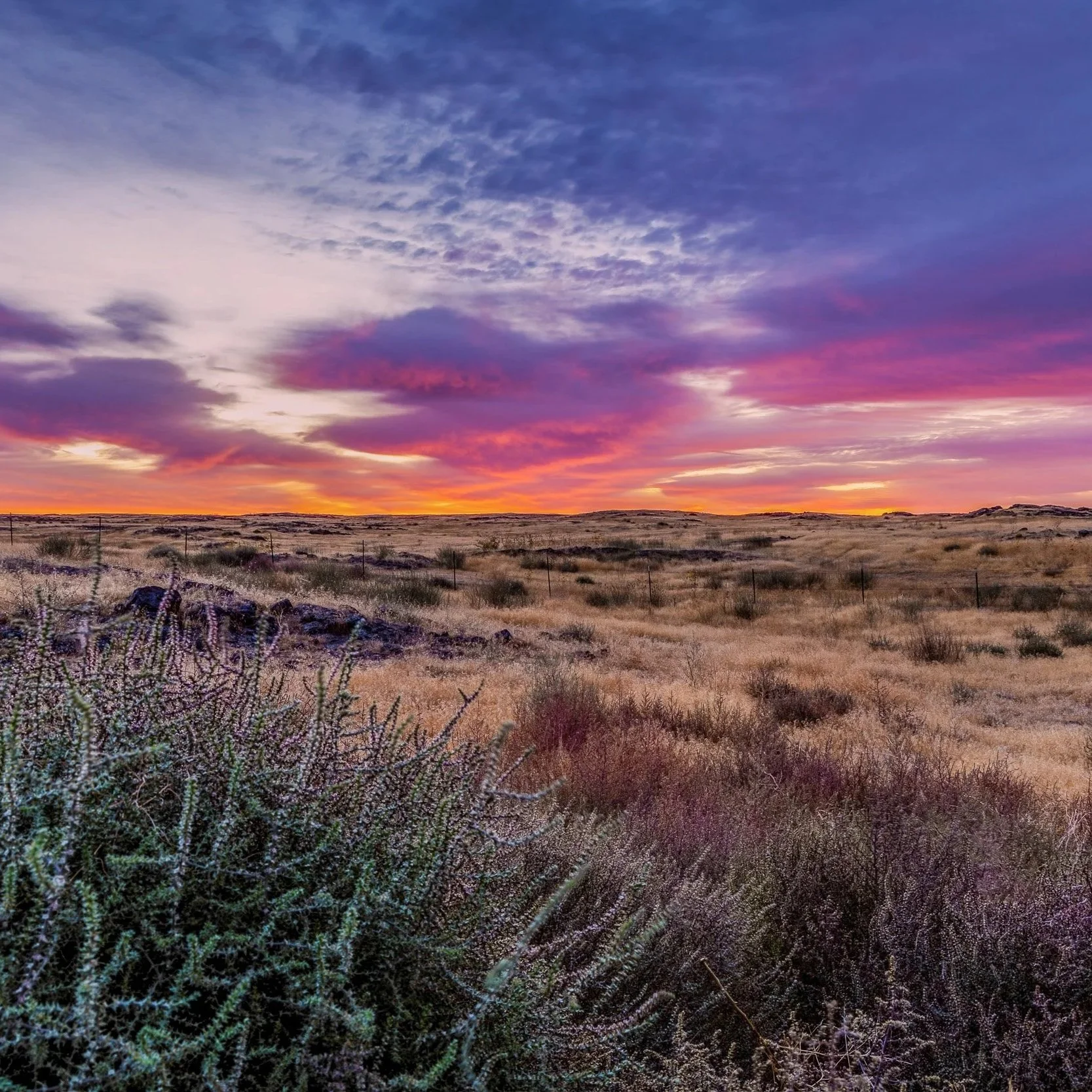 Briggs_Arizona_light painting.jpg-5.jpg