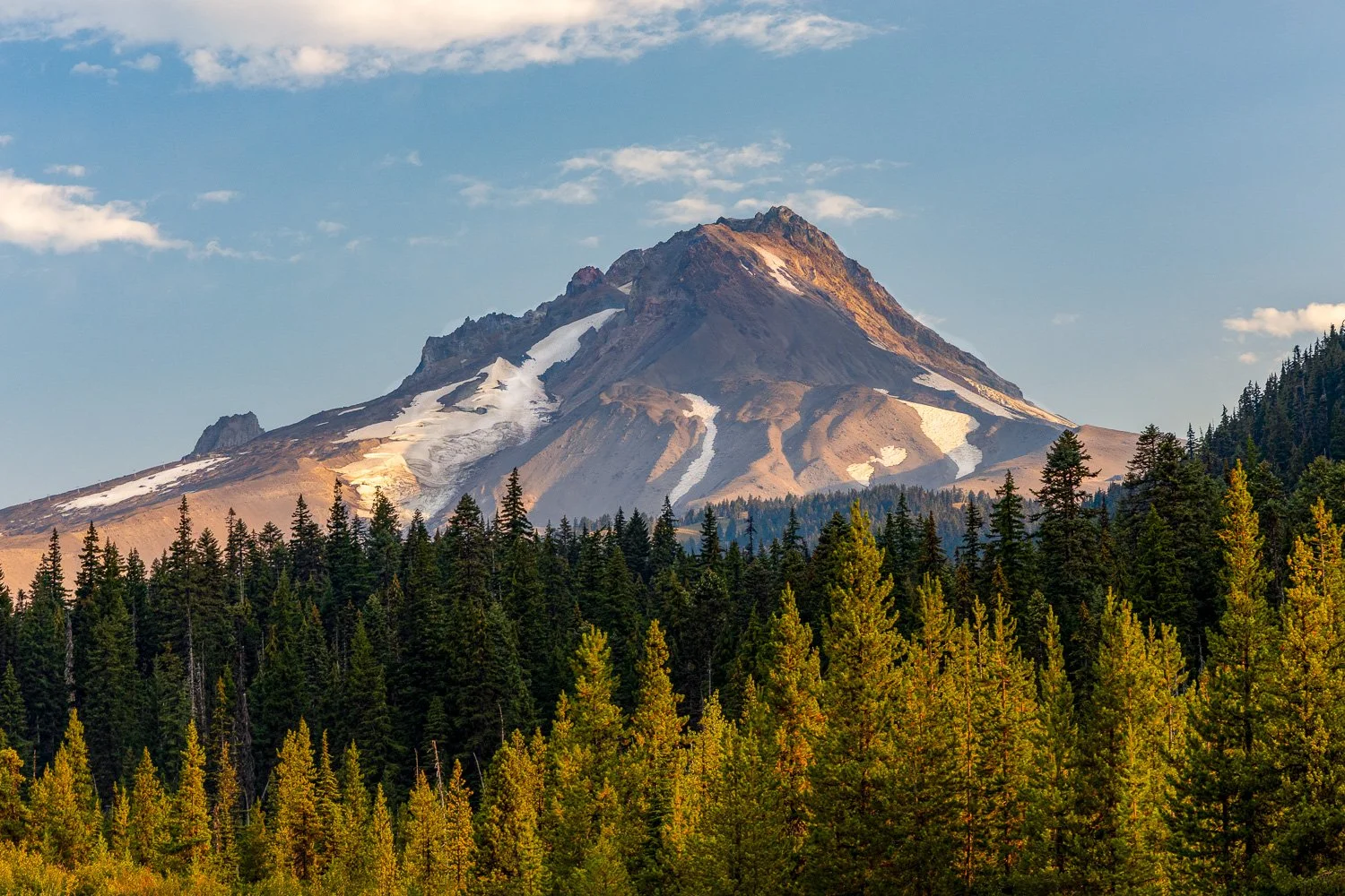 Summit, trees, golden sunset