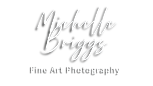 Michelle Briggs Fine Art Photography