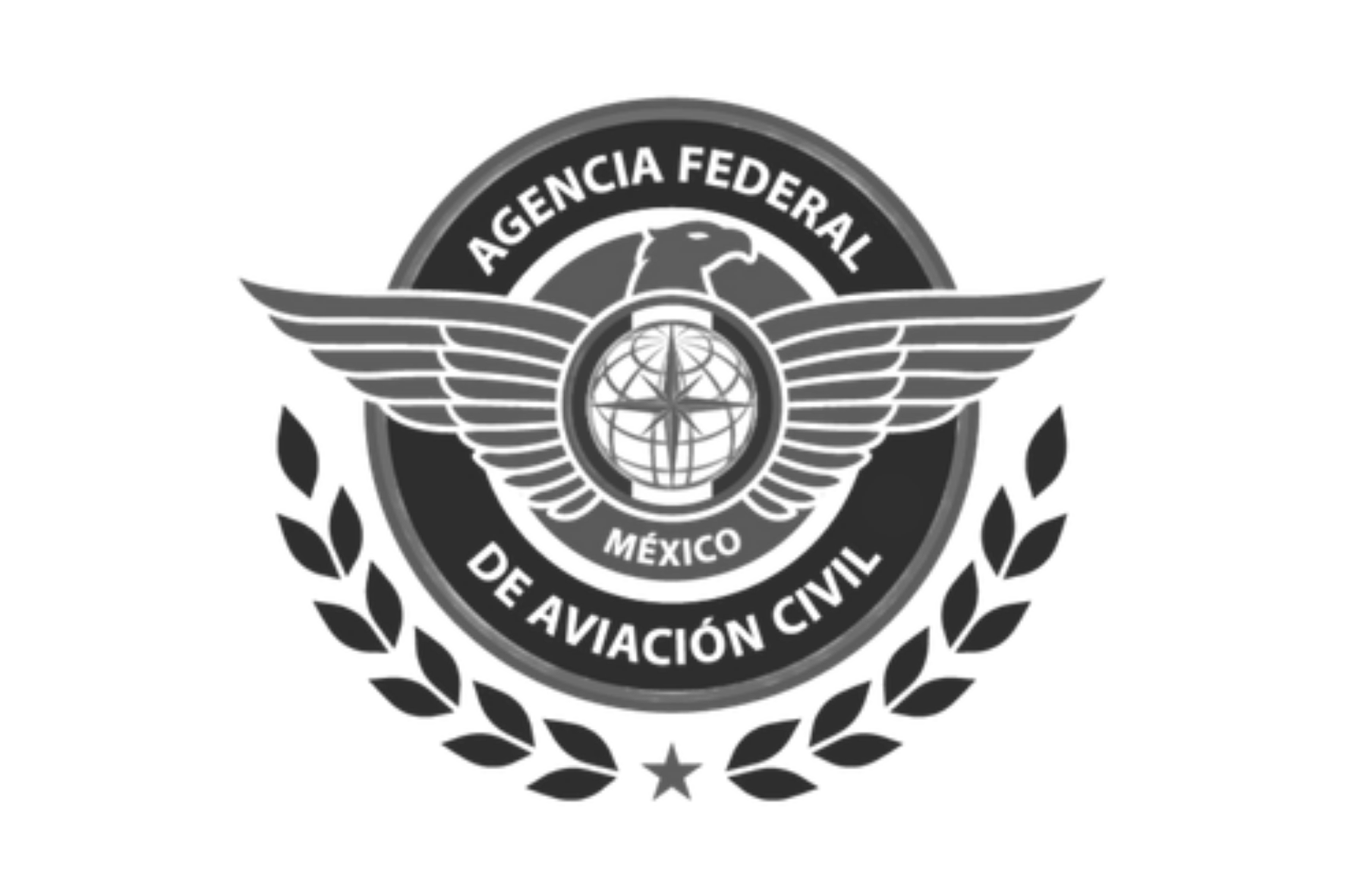 AFAC Mexico civil aviation authority