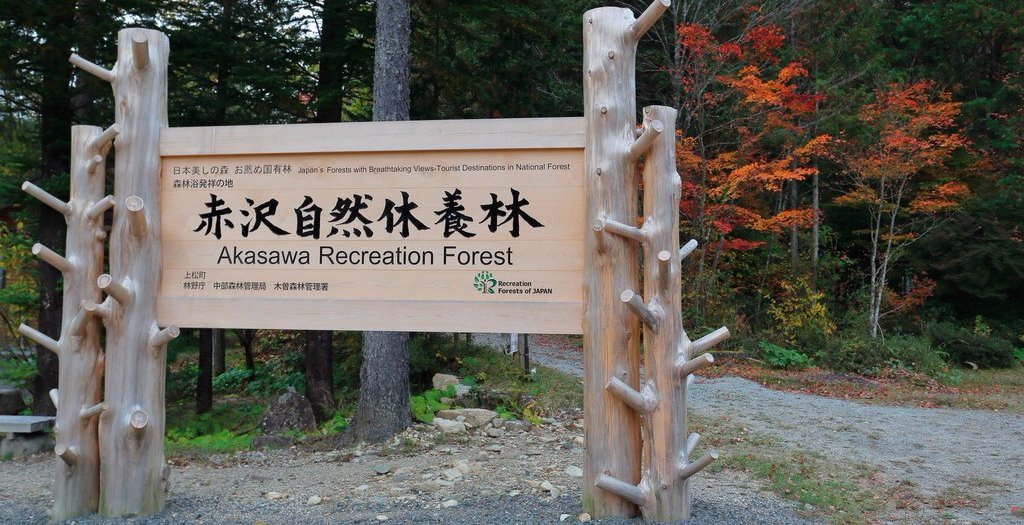 Virtual Japan – Day 3 – Part 1 - The birthplace of Shinrin-Yoku