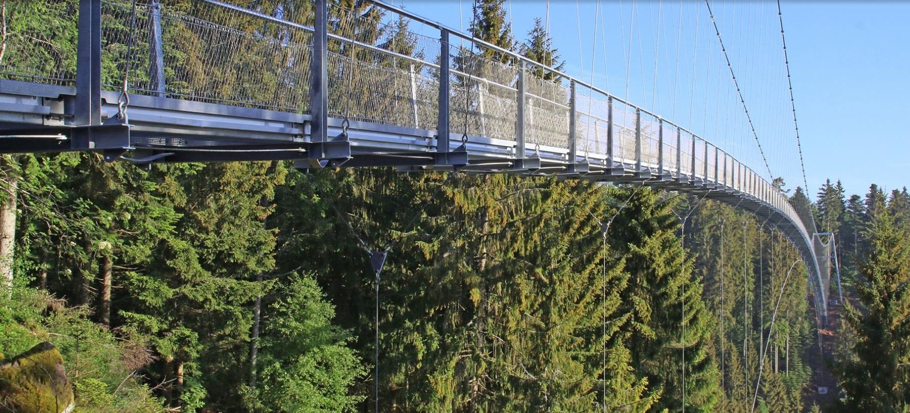 Come spend 4 days with us in the Black Forest - 20% off to repeat clients