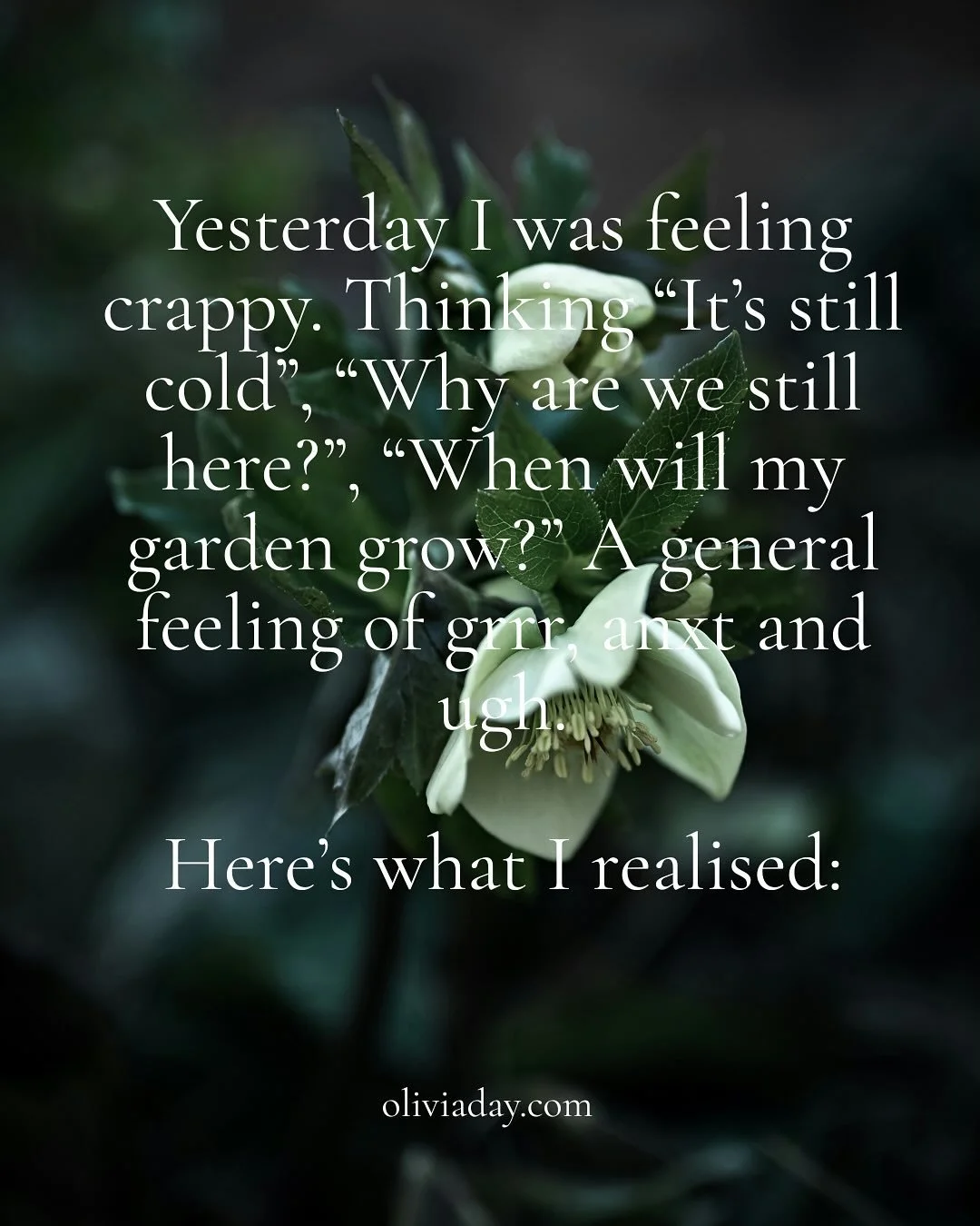 Transition is just that - a transition. A push, pull, forwards and backwards motion where everything feels a little discombobulated. That&rsquo;s what I remembered yesterday when I was feeling crappy. It&rsquo;s just that I am / we are in transition.