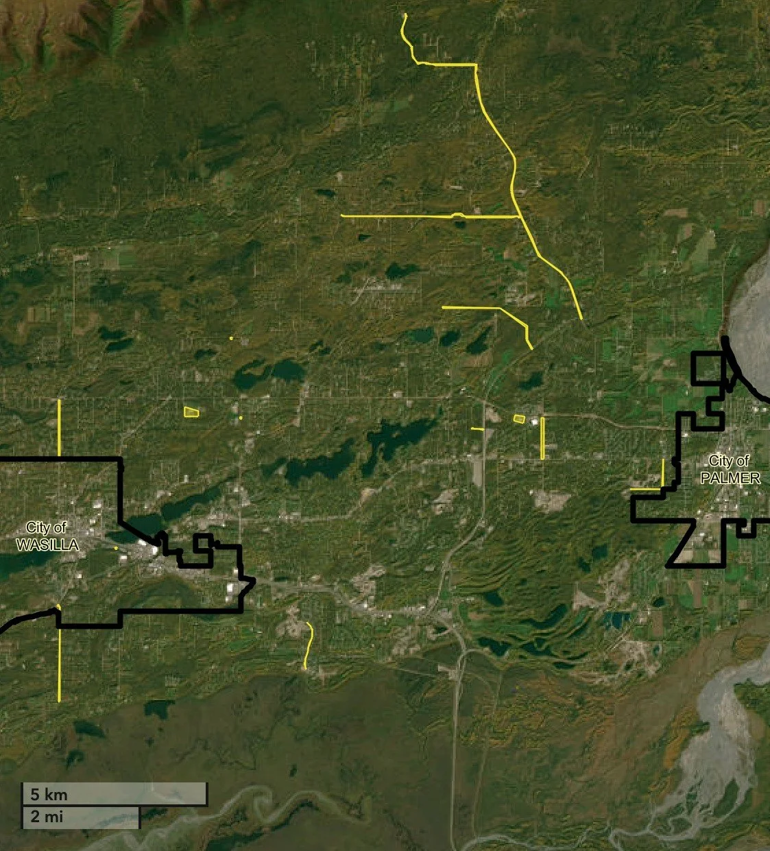 20250212 TIP 21 website screenshot.jpg