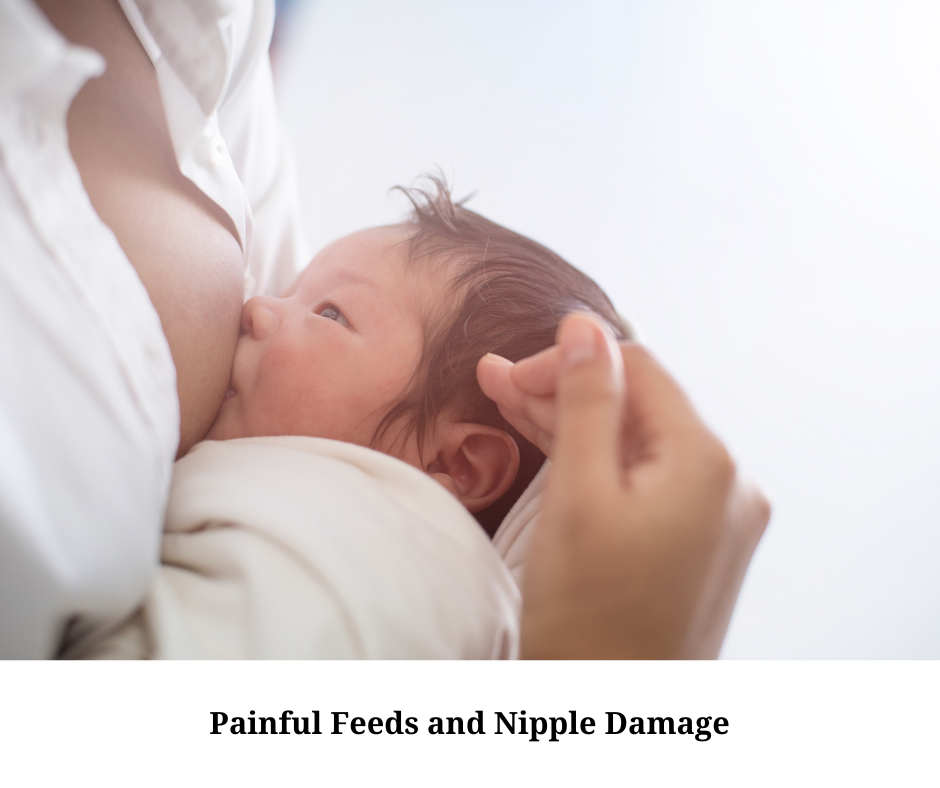 Painful Feeds 5.png