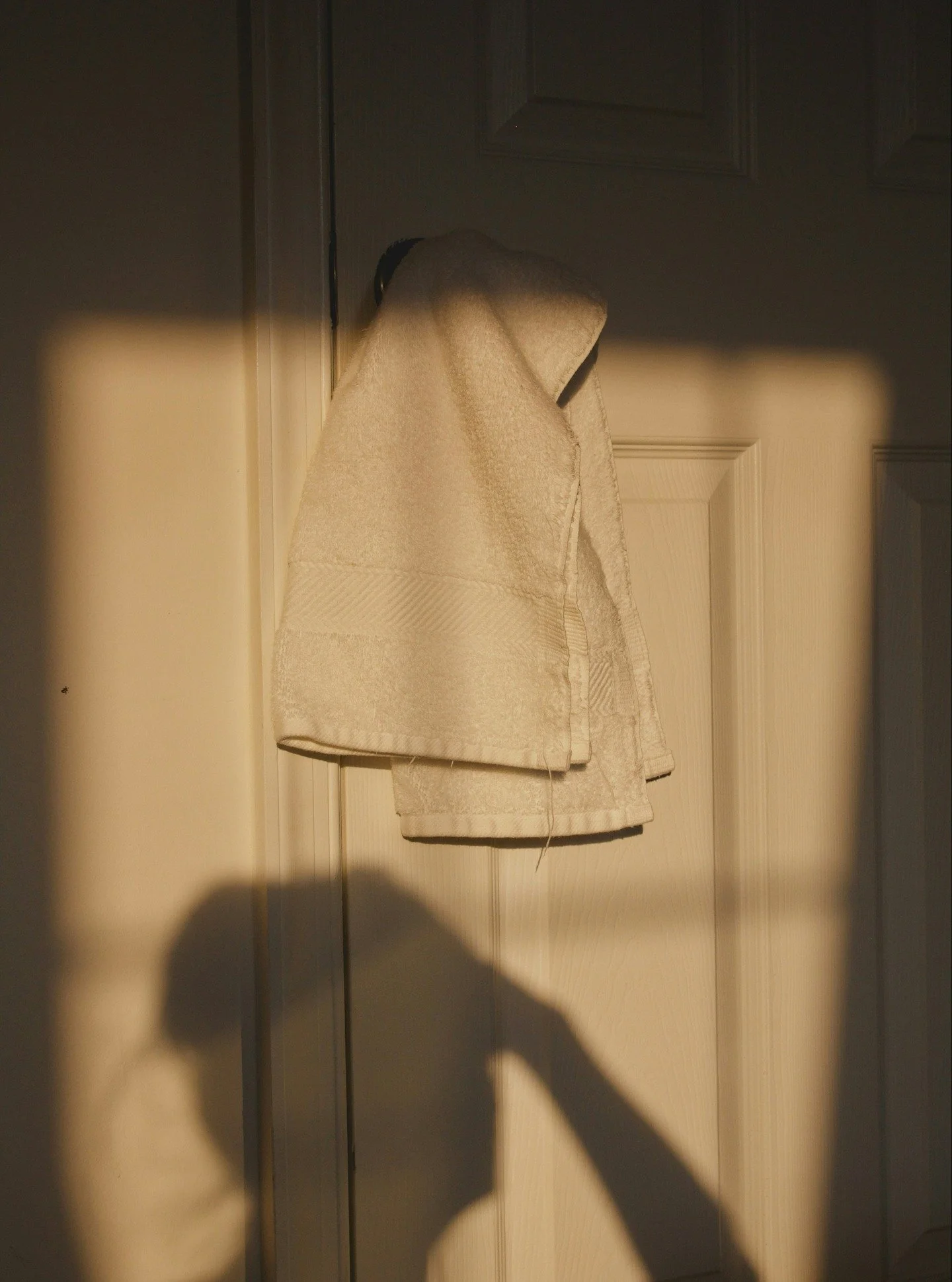 We are still very much in the Winter Solstice, but each day the sunlight continues to brighten. I hope you're enjoying your slumber and are also quietly making plans for your Spring emergence.

P.S. These cards are signs to live by. I created these v