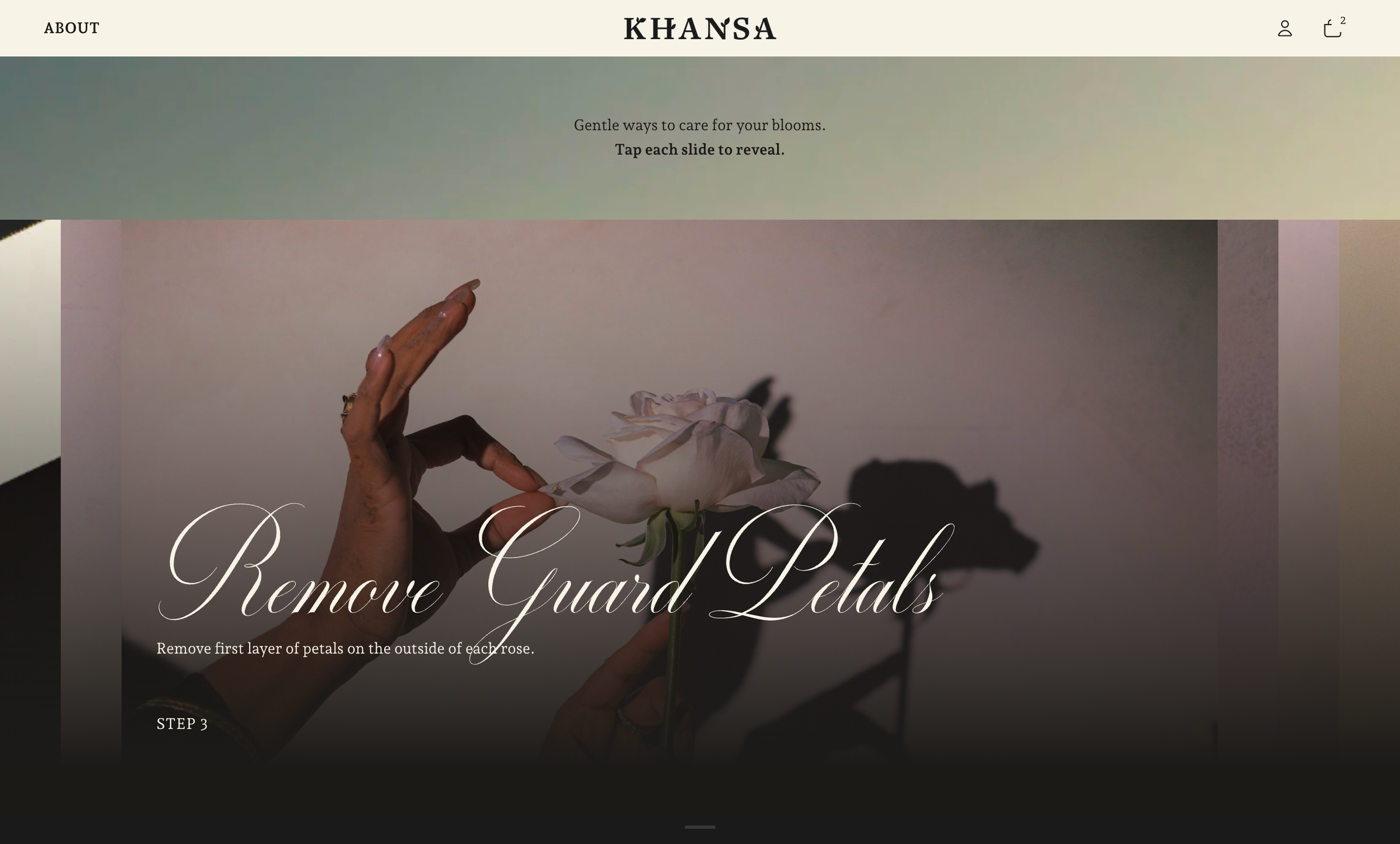 khansa.co_pages_care (2).png