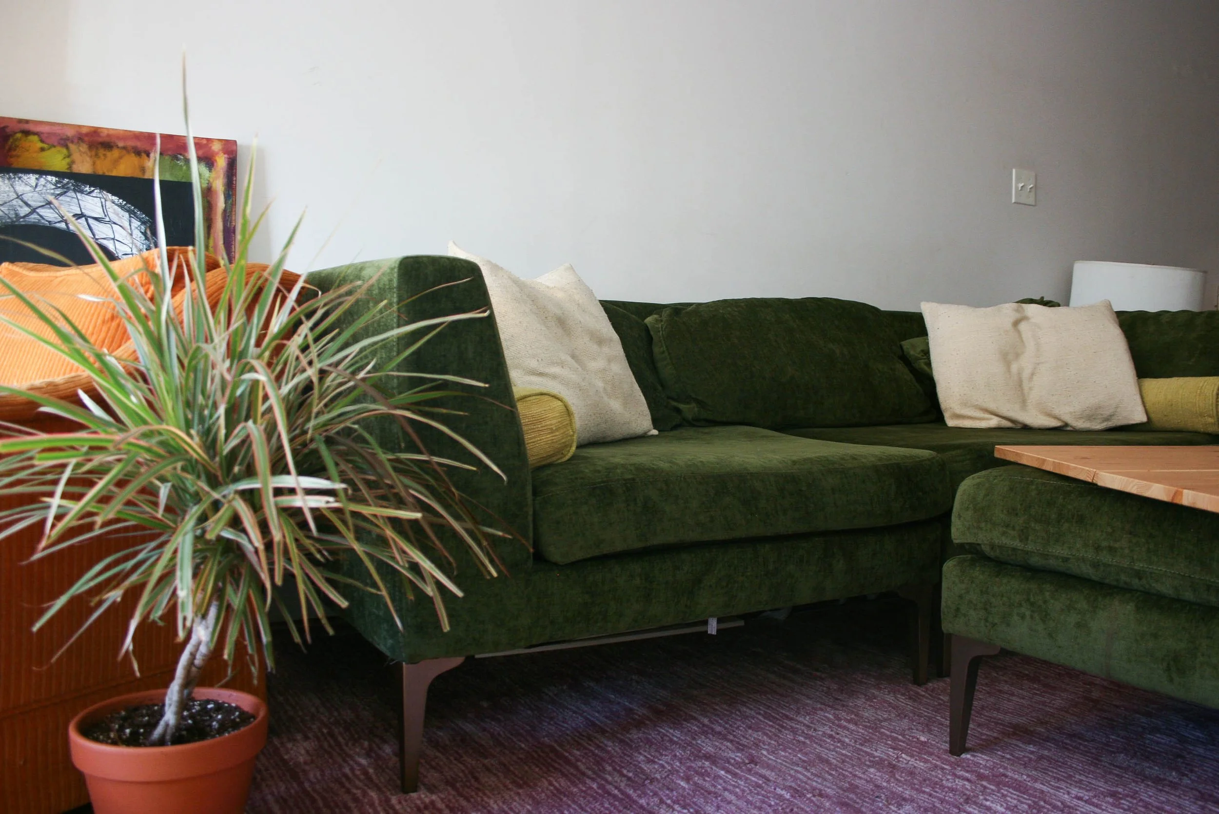 Living room with a green velvet sofa, white pillows, a wooden side table, and a potted plant with long, thin green and white leaves, placed on a red patterned carpet.