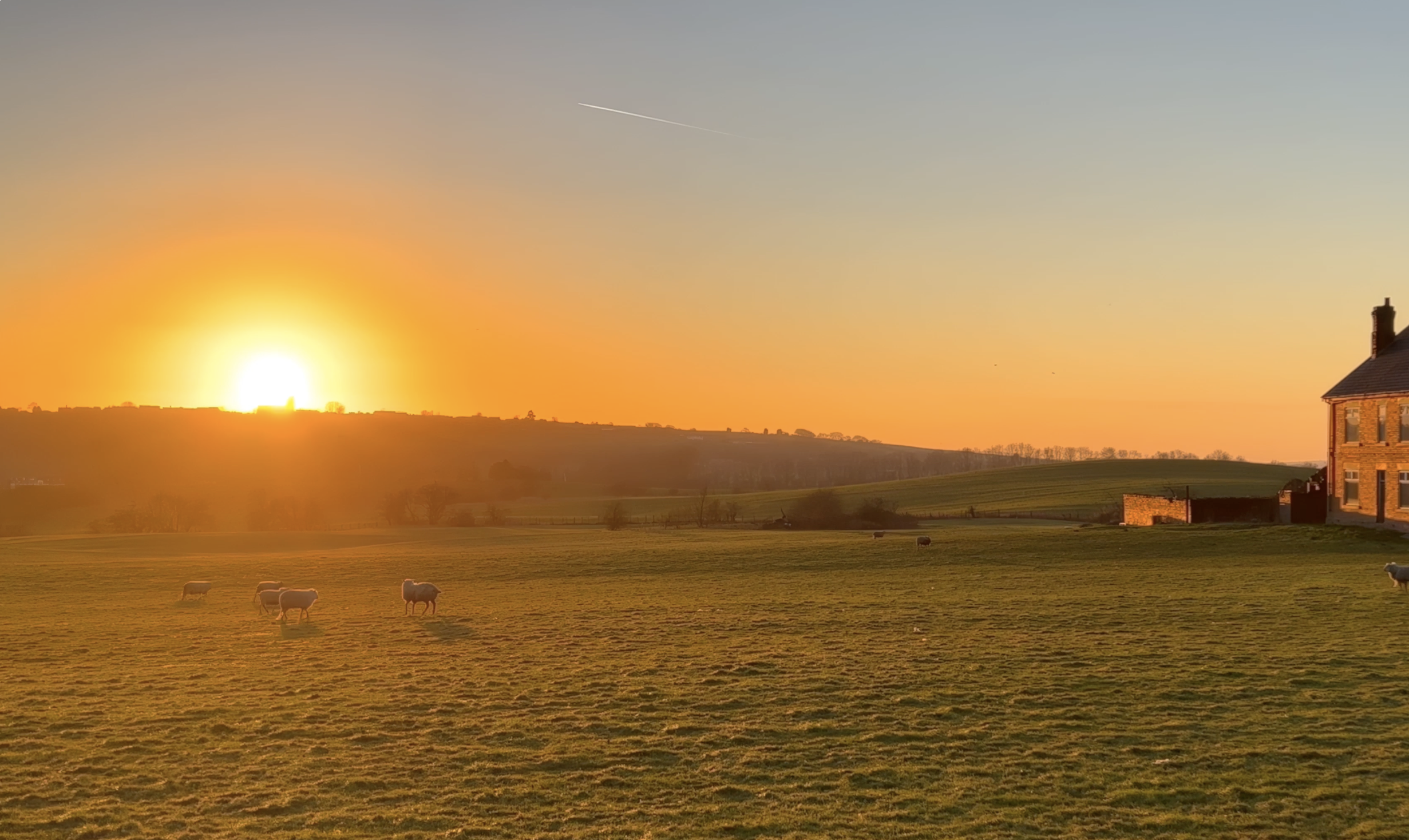 A rural landscape at sunset with grazing sheep, a house on the right, and a sunset in the background. Cypress Works, Massachusetts.