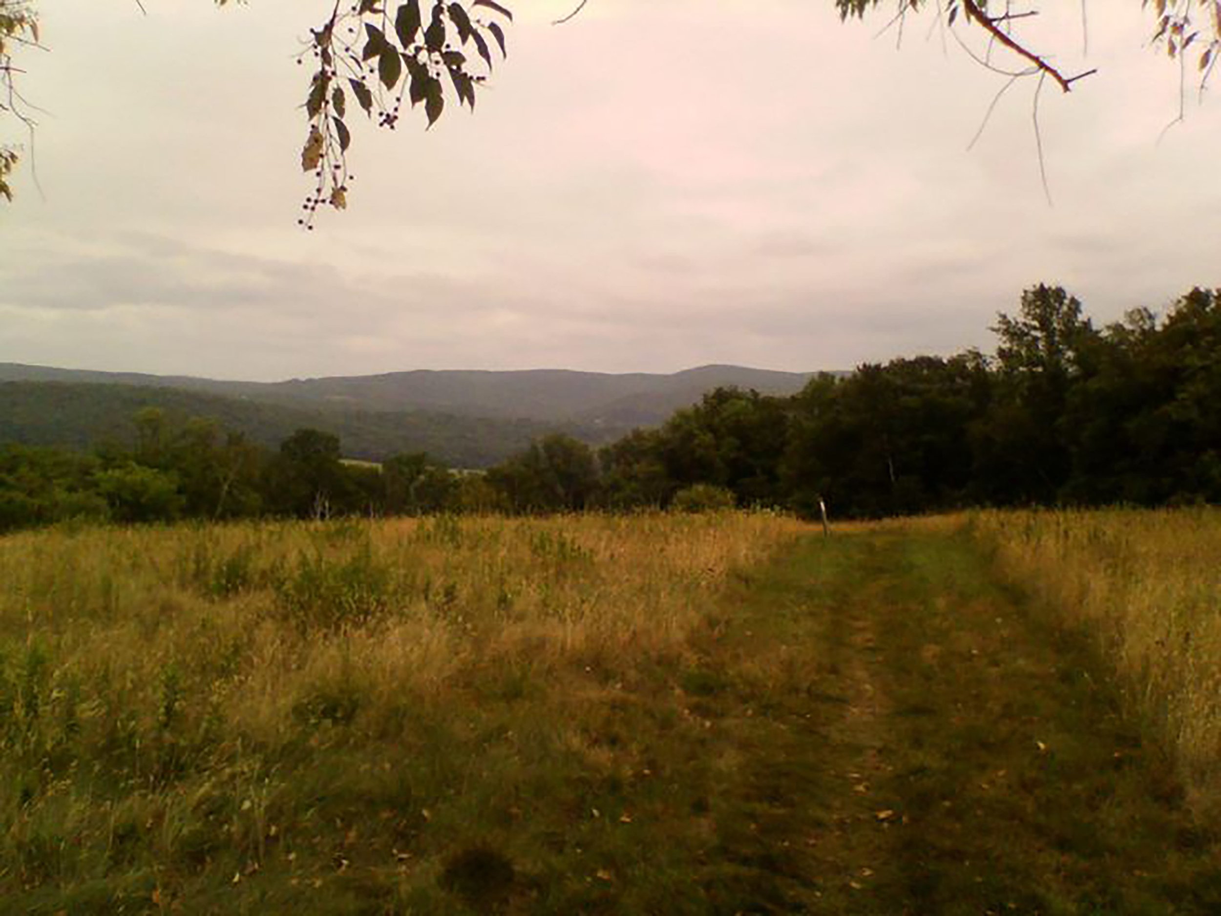 Beautiful golden hour landscape in Massachusetts, by Soleil Design Co