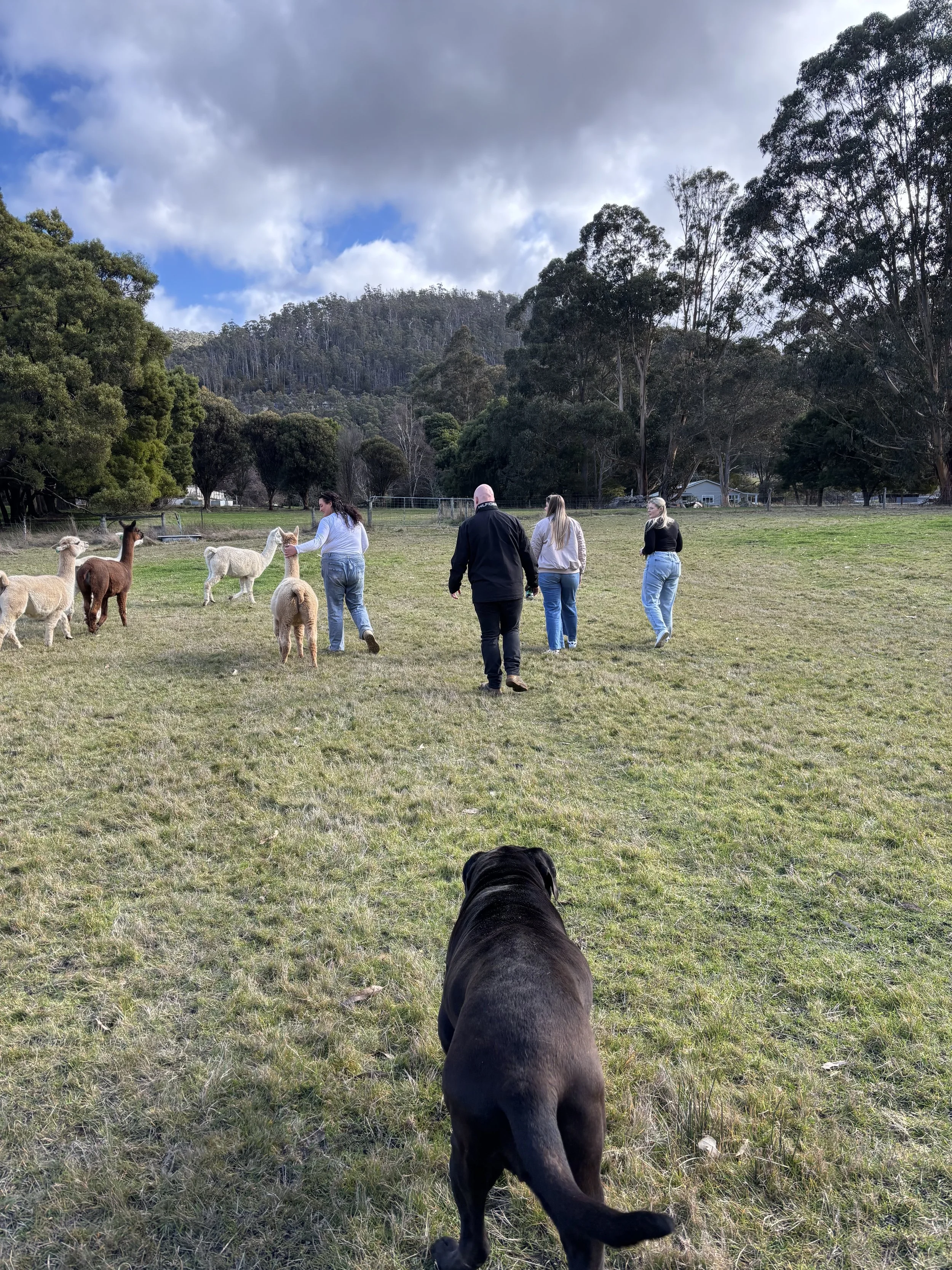 The Art of Not Knowing