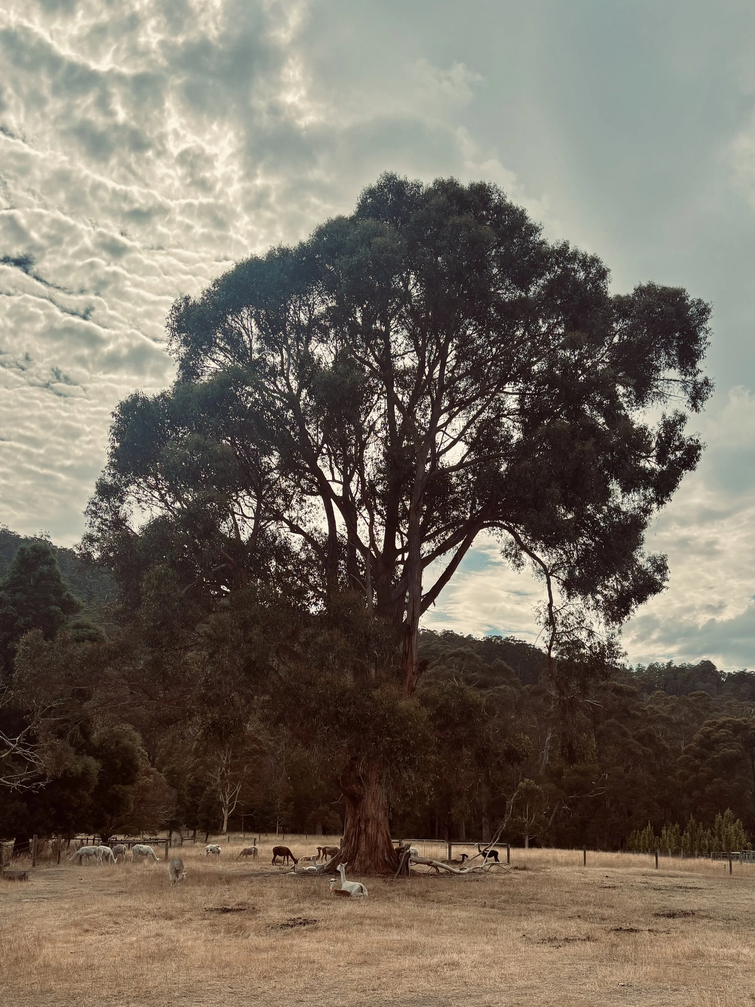 The work that belongs to Autumn