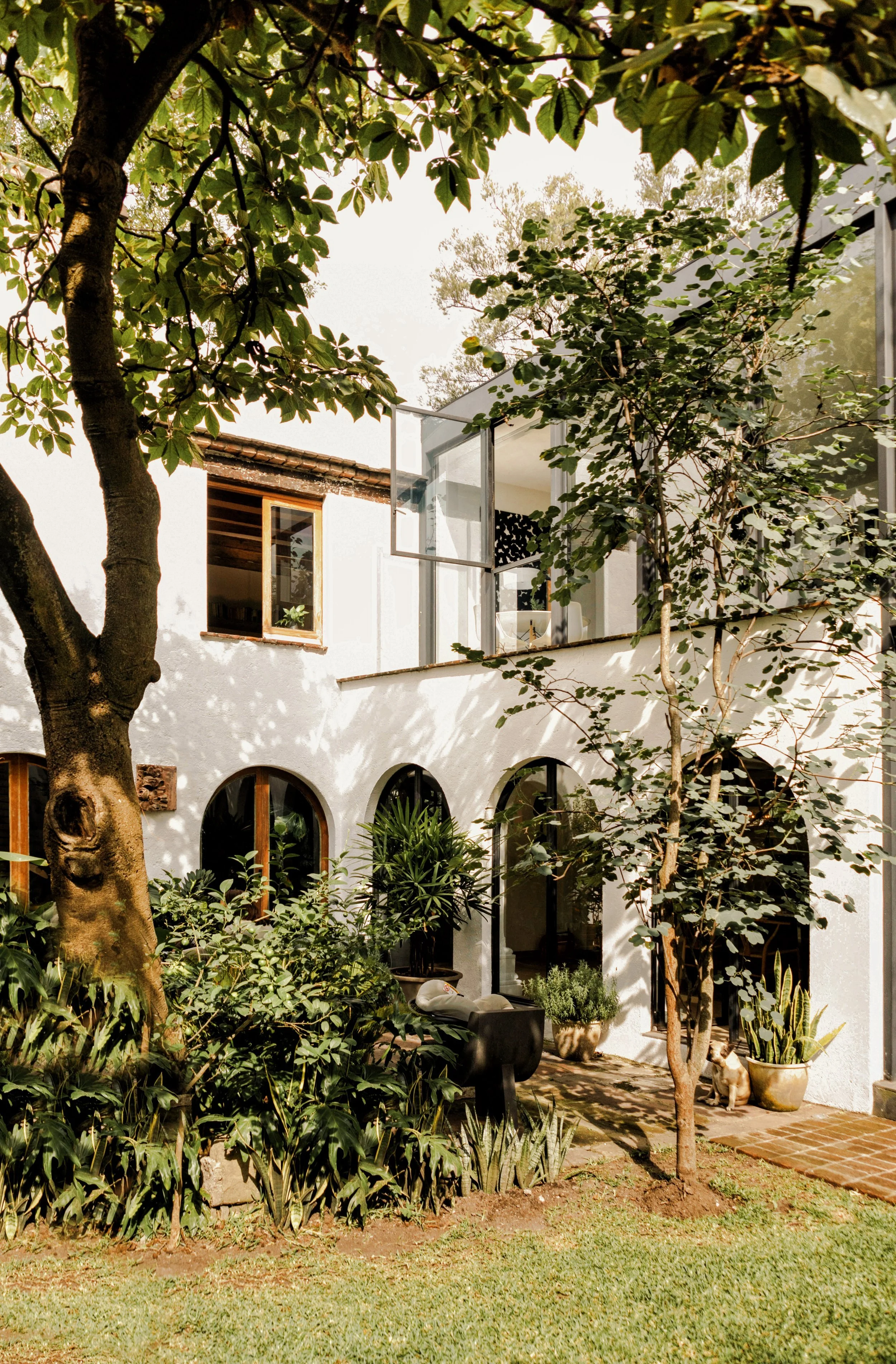 CASA+GALEANA+07.jpg