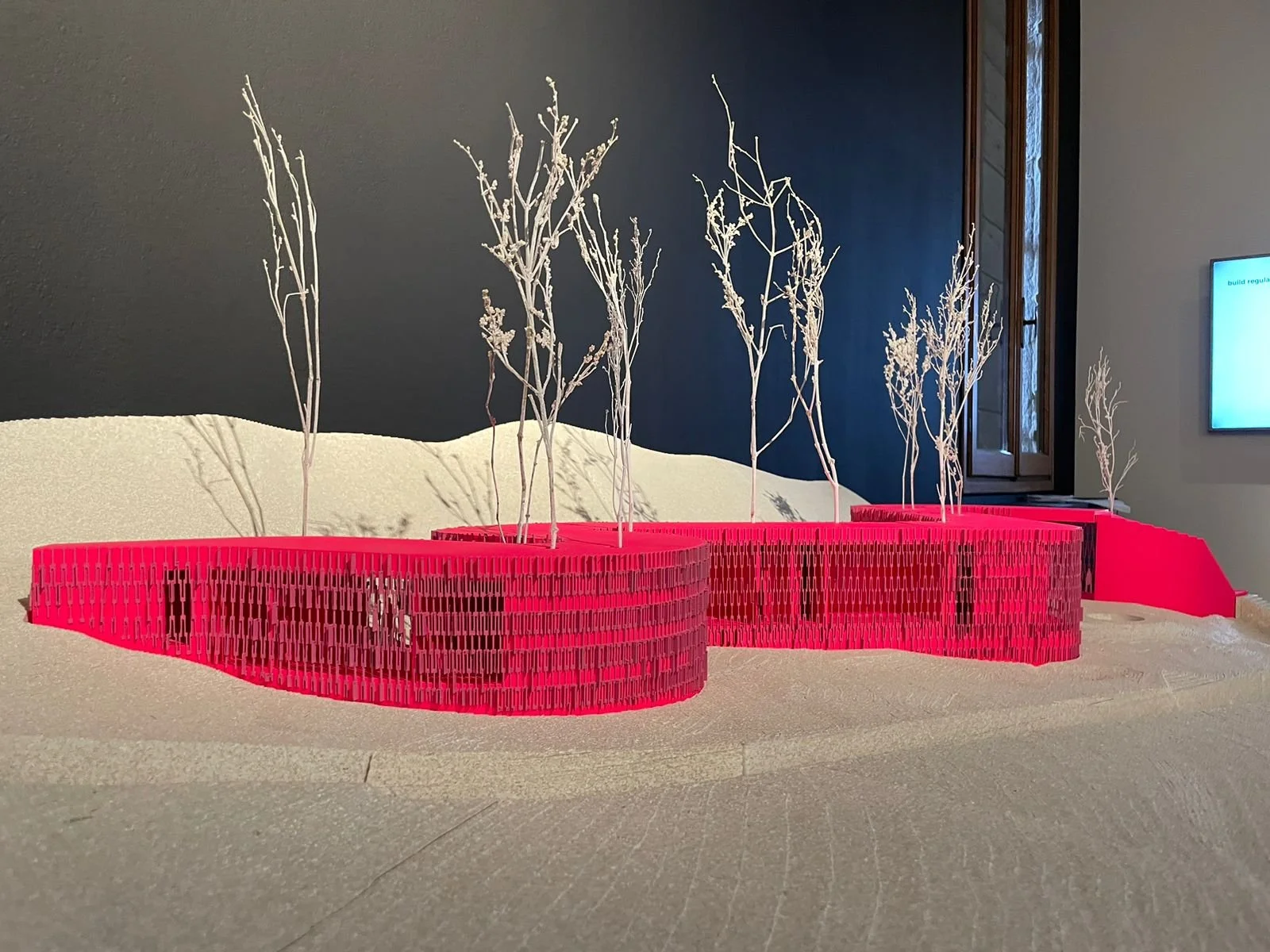 BIENNALE 2.jpg