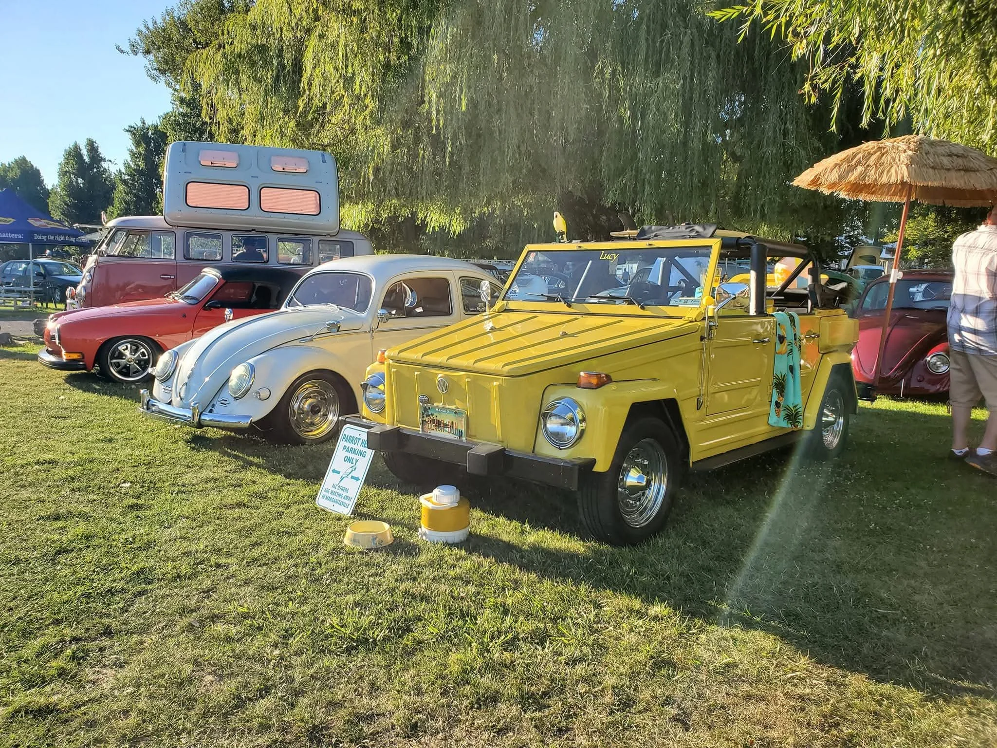 VW night .jpg