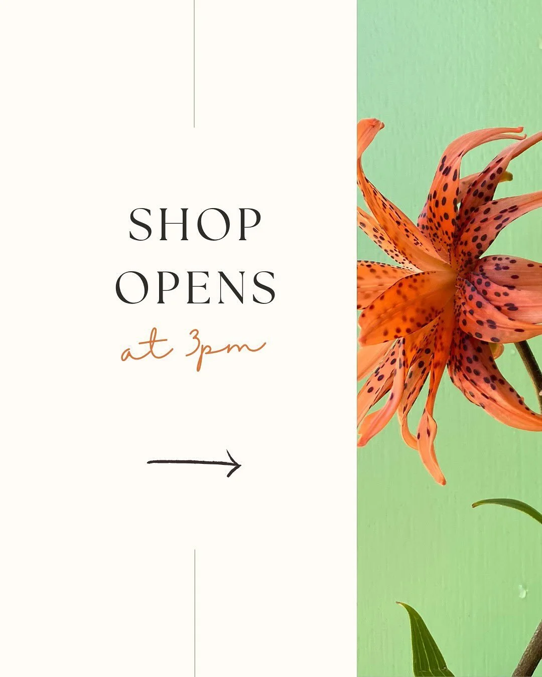 Glorious summer awaits!

Just around the corner, at 3pm!

on @rooted_farmers 

SCFM Farmer Lineup this week:
@top.of.the.hill.flowers 
@studdertfamilyfarm 
@strongarmfarm 
@sidekickflowers 
@poppiesandpetalsfarm 
@marionmossfloral 
@longertableflower