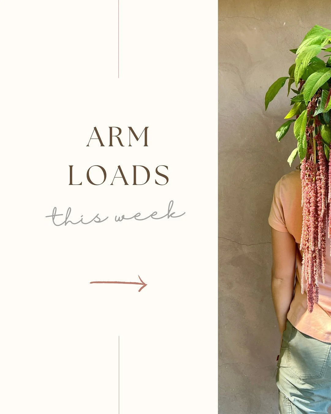 SHOP OPENS AT 3PM (not 2pm) 

on @rooted_farmers 

Arm loads and loads of the areas best flowers from our awesome farmers:

@drycreekflowers 
@filigreenfarm 
@fullbloomflowerfarm 
@jenniflorasonoma 
@longertableflowers 
@marionmossfloral 
@poppiesand