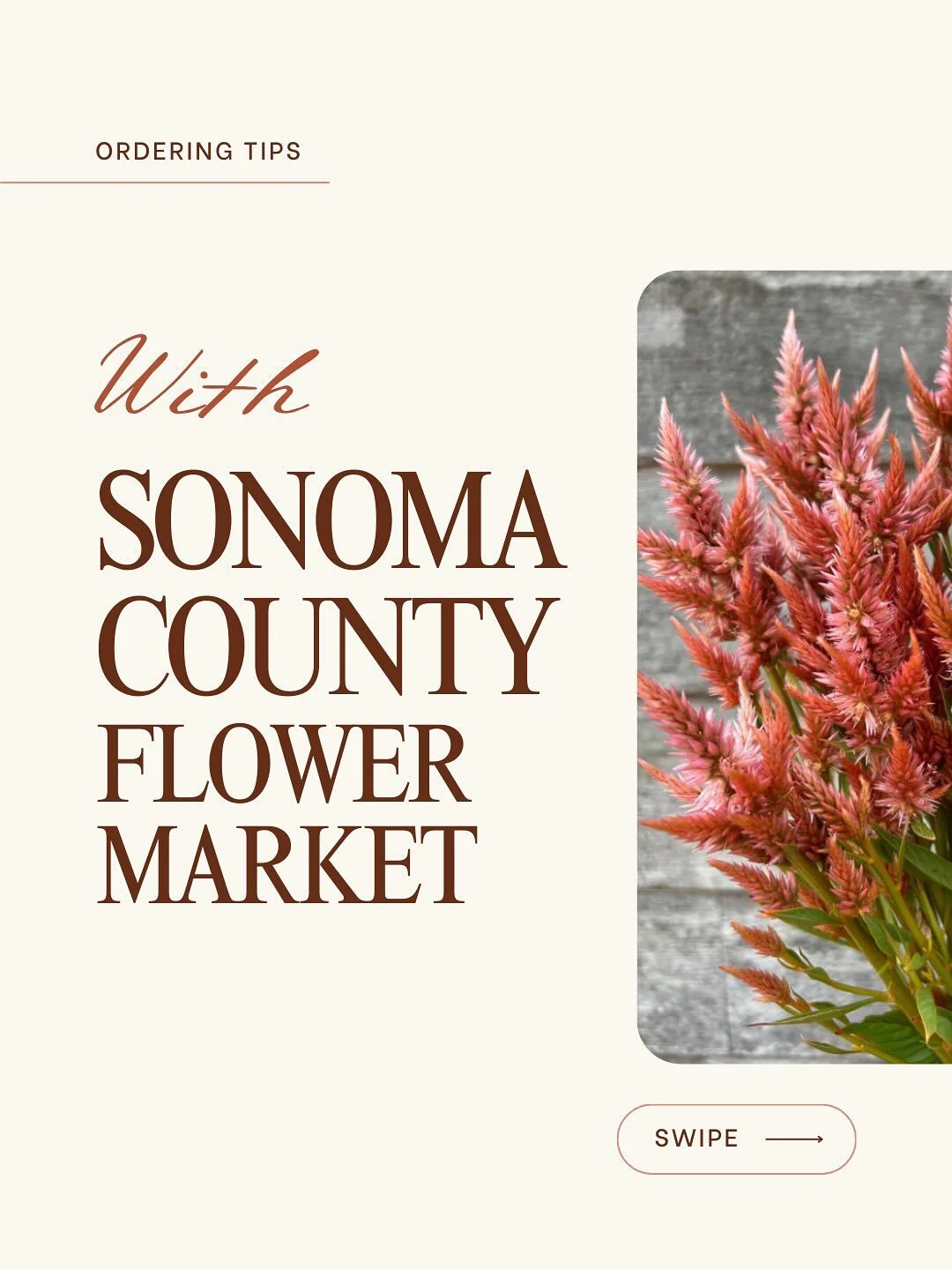 Here at Sonoma County Flower Market, we are here to help make ordering flowers from local farmers as easy as possible.

🌸 Need a delivery - we can help with that!

🌸 Need to place an order request weeks, if not months, beforehand - we can help with