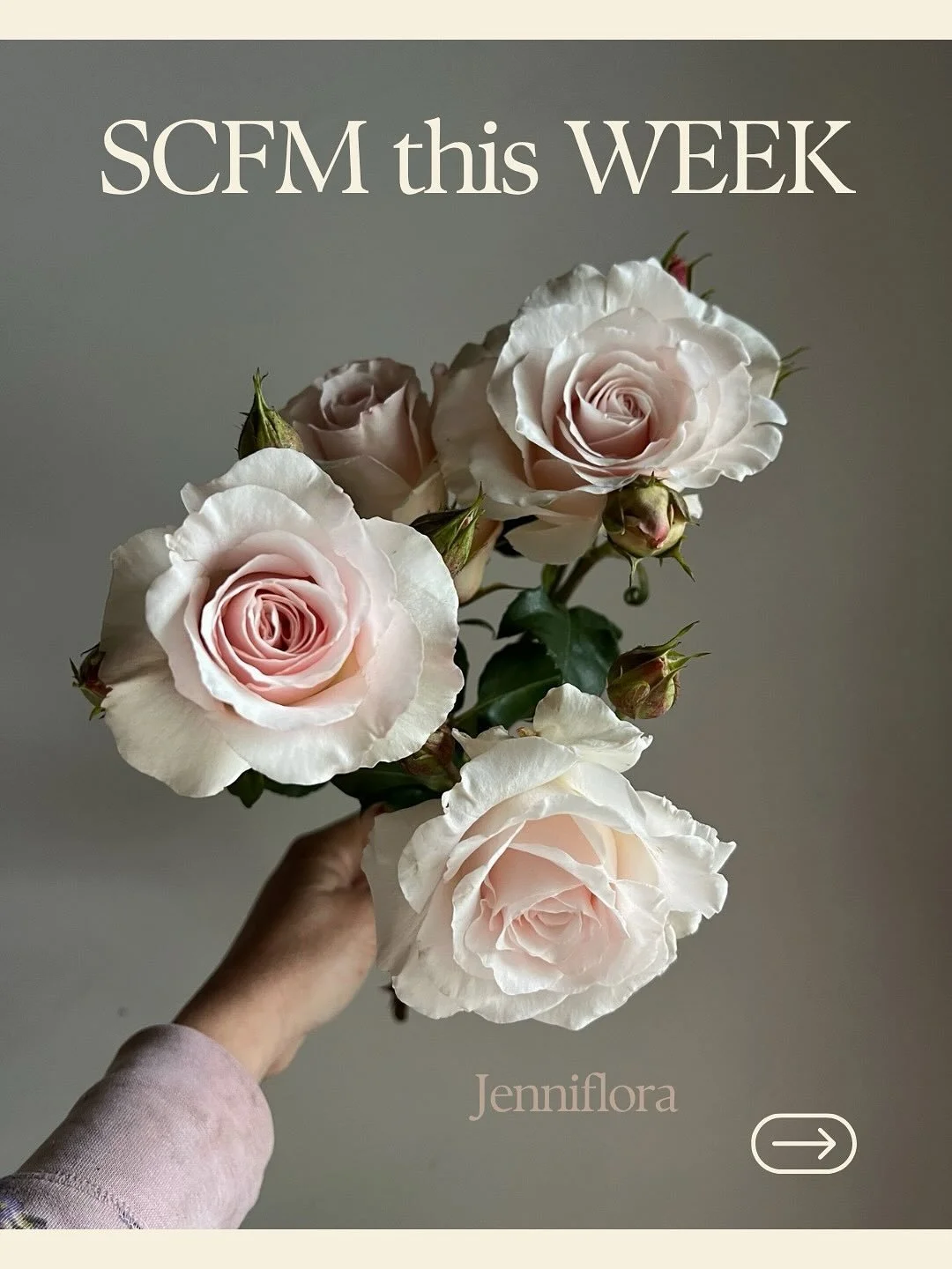 Making it easy to fall for Fall flowers.

Special thanks to our hard working farms/farmers/flowers for continuing to produce all this beauty!

Shop opens at 3pm on @rooted_farmers 

@jenniflorasonoma 
@sidekickflowers 
@poppiesandpetalsfarm 
@marionm