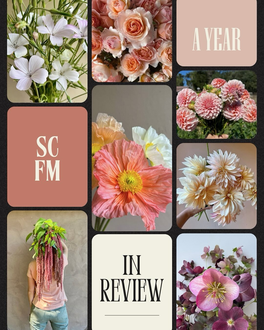 &bull;
What a beautiful 2025 flowering season it has been!

SHOP OPENS TODAY AT 3PM
on @rooted_farmers 

For the last time this season you can snag up our final SCFM goodies of the year!

Special thanks to our awesomely supportive buyers and to our d