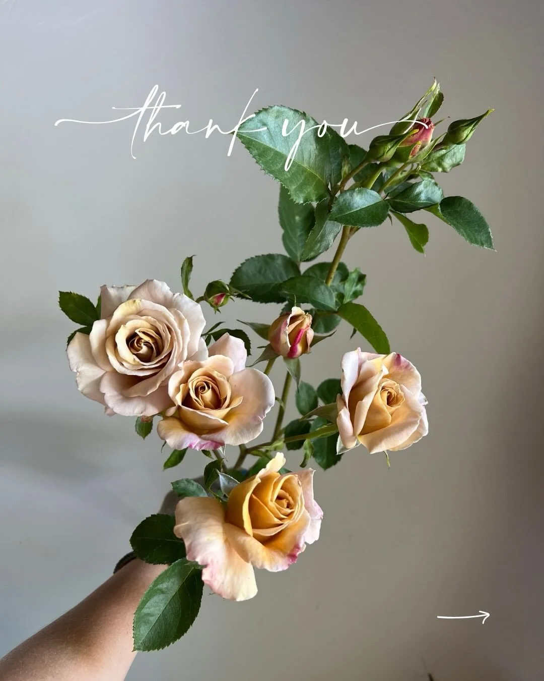 ...

Fill out our 2025 survey (link in profile) and enter to win up to $100 off of your first SCFM purchase in 2026!

You all mean the most to us and your feedback helps us improve our quality, service and systems. If you have a few minutes to help o