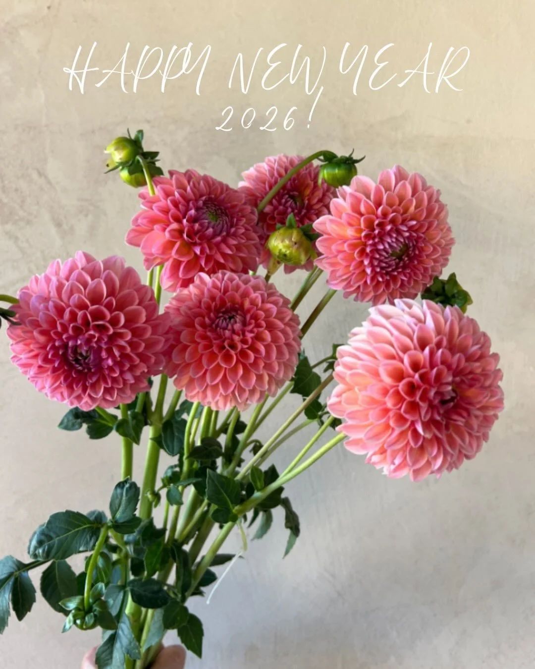 ...

Tomorrow (FRIDAY 1/9) by end of day!

Last chance to fill out our 2025 survey and enter win up to $100 off your first SCFM order in 2026.

We appreciate your support and want to do what we can to improve both service and quality &amp; your feedb