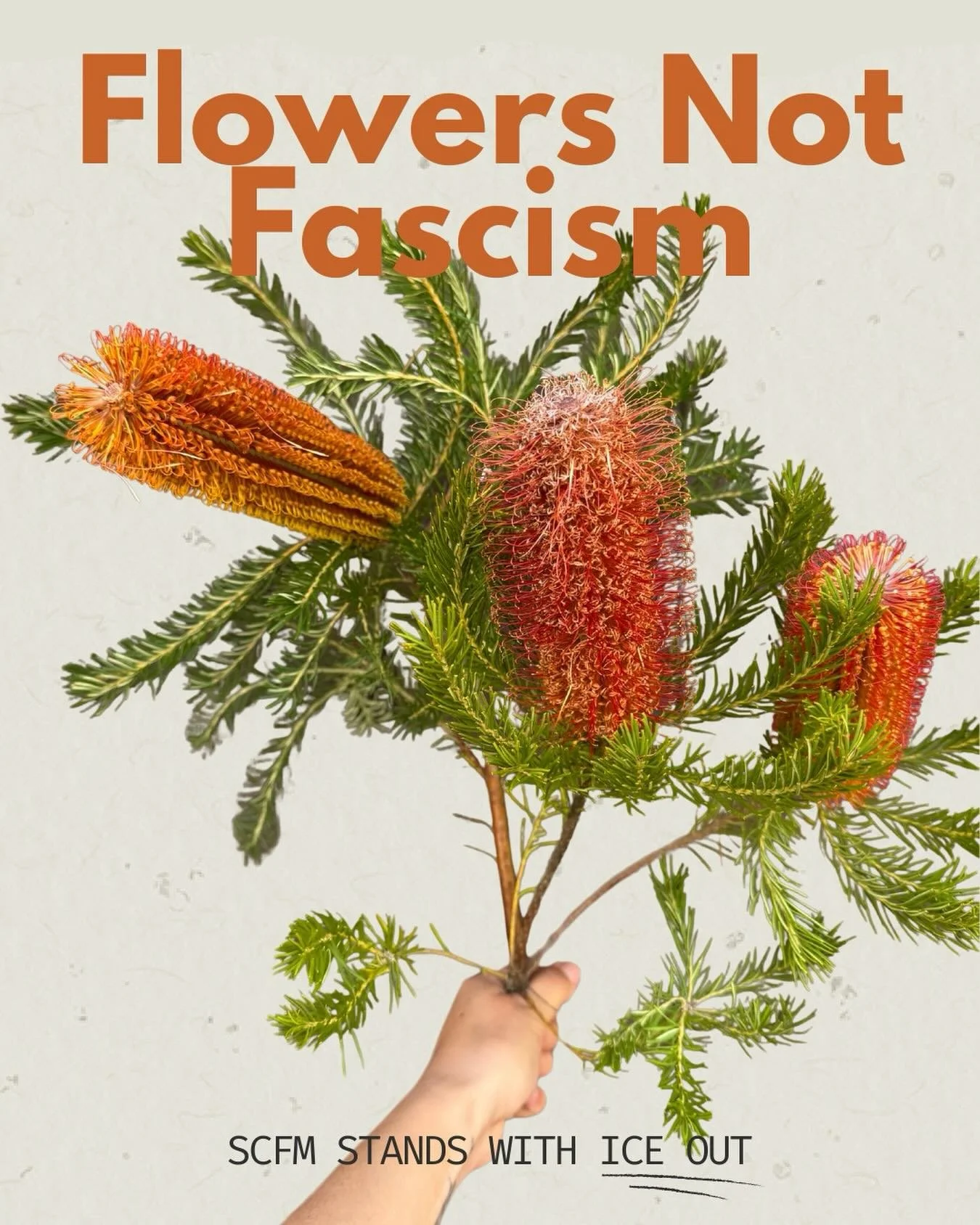 ✌🏻✌🏼✌🏽✌🏾✌🏿