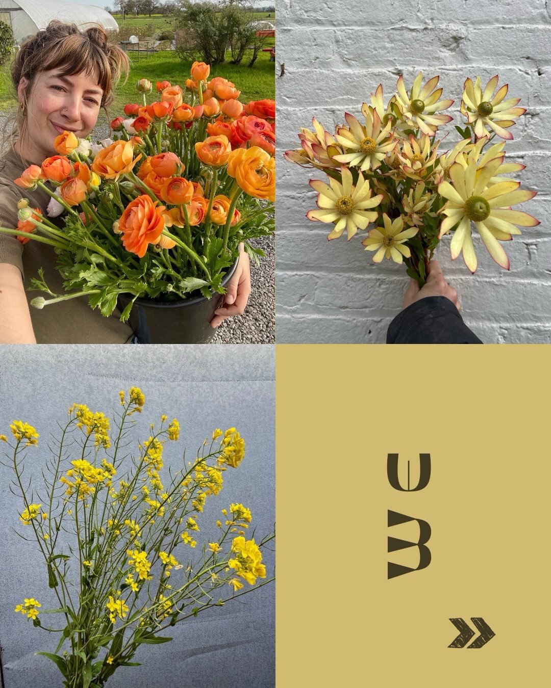 ...

Hop on our @rooted_farmers shop this Wed at 3pm to shop our first listing of the season!
 
2026 SCFM Farms include:
@wavelengthfarm 
@top.of.the.hill.flowers 
@studdertfamilyfarm 
@sidekickflowers 
@poppiesandpetalsfarm 
@marionmossflowerfarm 
@