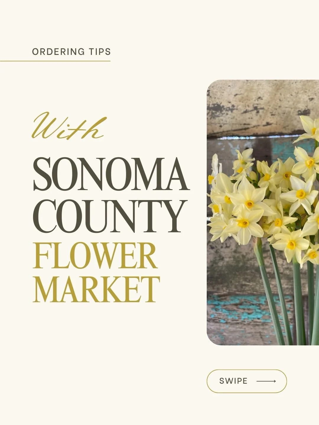 A few helpful tips to help you be ready to place your first order of 2026 with us, tomorrow at 3pm

On @rooted_farmers 

SCFM Farms:
@beanlanefarm 
@drycreekflowers 
@filigreenfarm 
@fullbloomflowerfarm 
@jenniflorasonoma 
@longertableflowers 
@mario