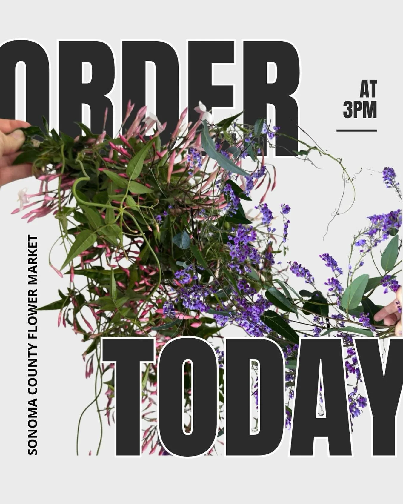 See you on @rooted_farmers at 3pm when our list goes live!

SCFM Farms listing this week:
@beanlanefarm 
@drycreekflowers 
@jenniflorasonoma 
@longertableflowers 
@marionmossflowerfarm 
@poppiesandpetalsfarm 
@sidekickflowers 
@studdertfamilyfarm 
@t